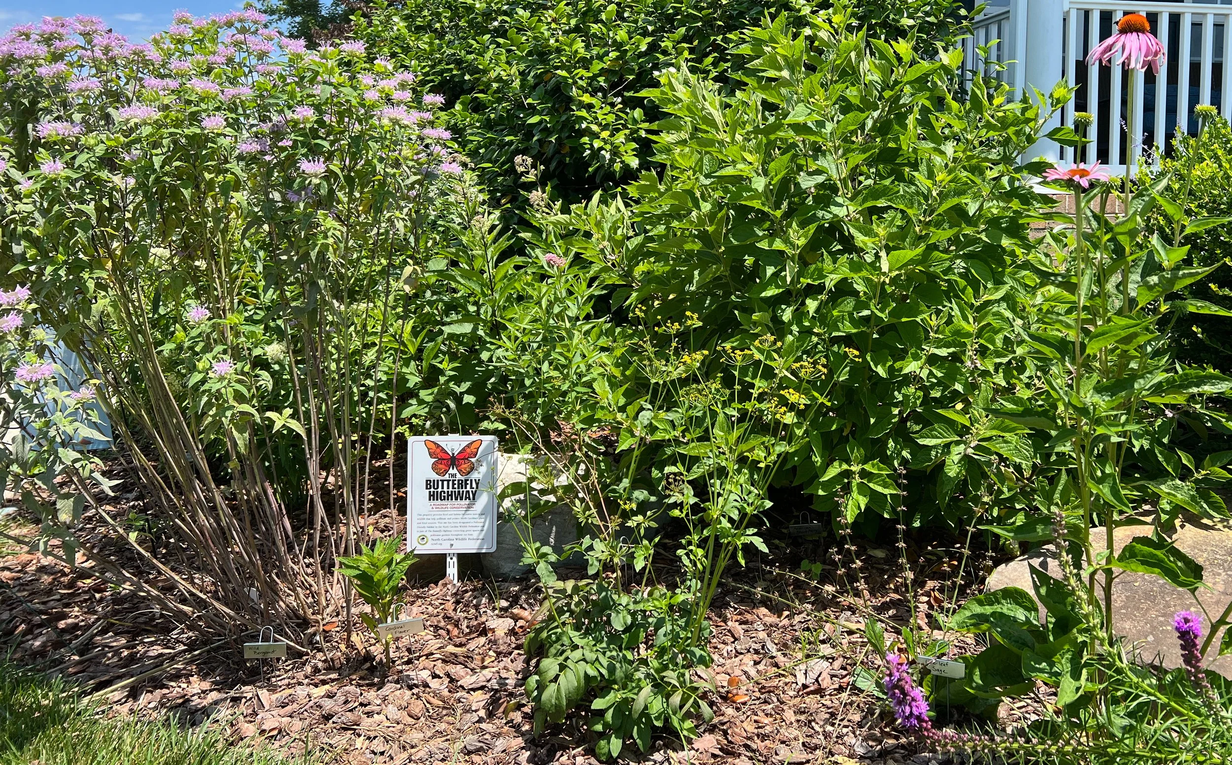 pollinatorgarden.jpeg