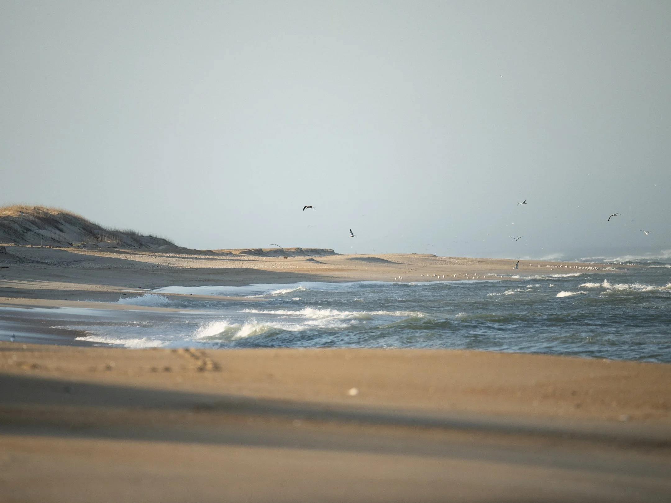 Seg18_08 (1 of 1).jpg