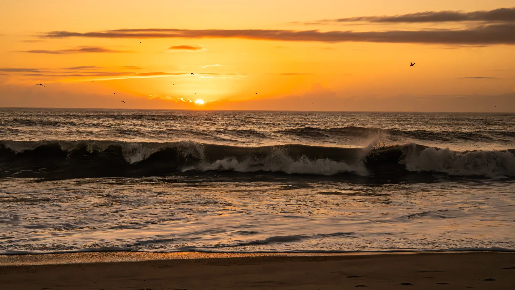 sunriseocean (1 of 1).jpg