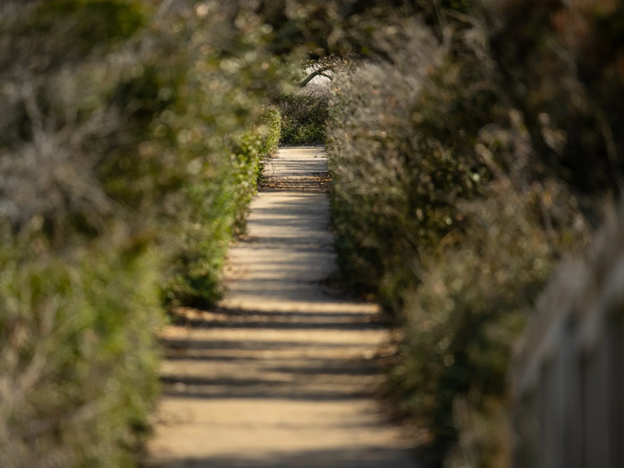 trailhollow (1 of 1).jpg