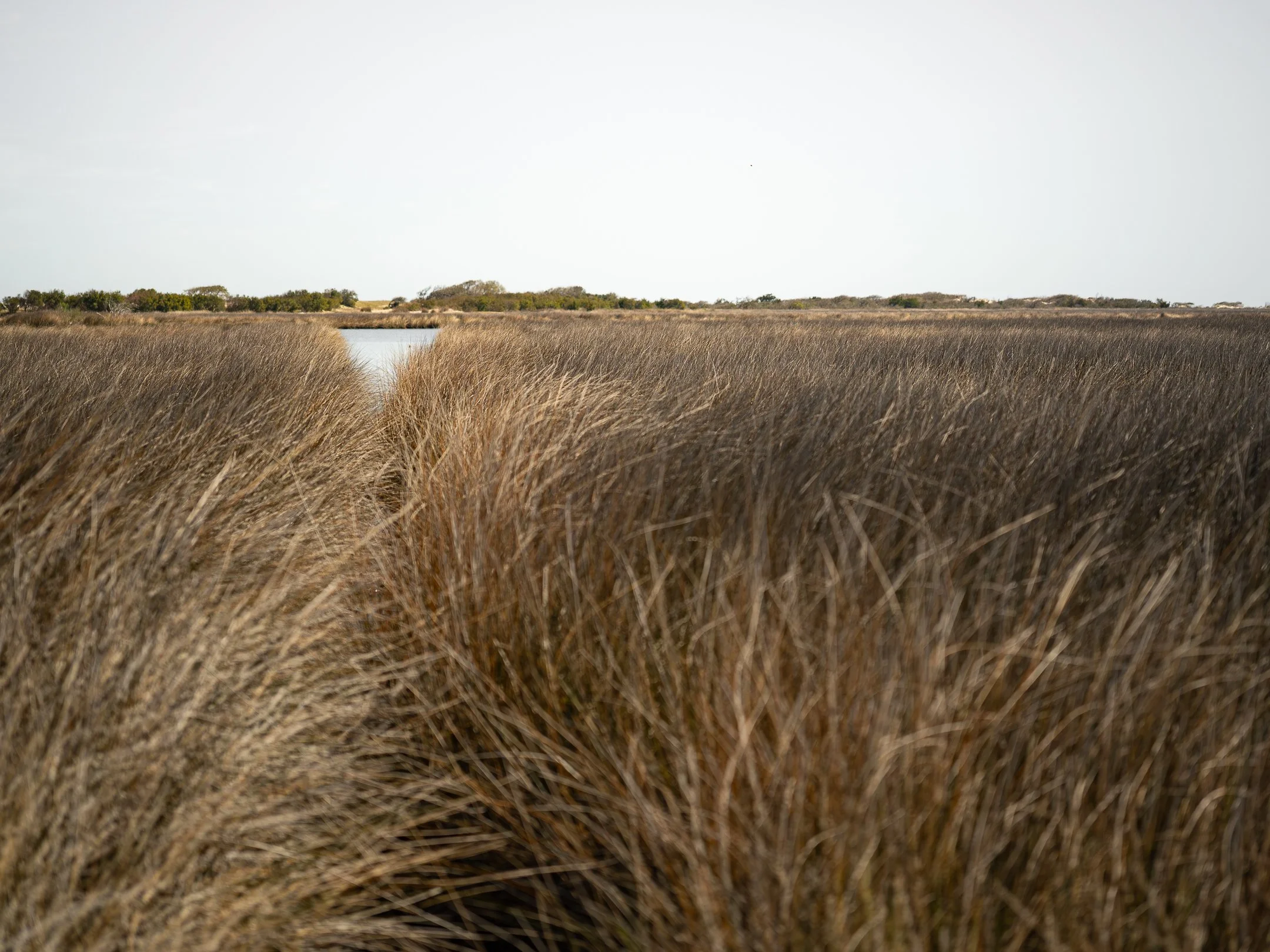 Segment17_01 (1 of 1) - Copy.jpg