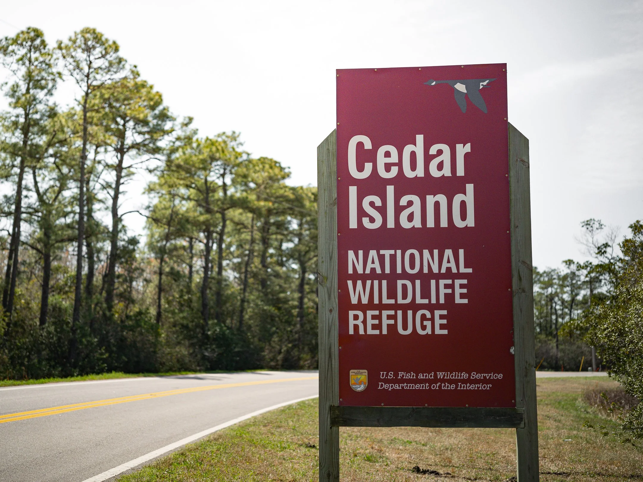 Segment17_03 (1 of 1) - Copy.jpg