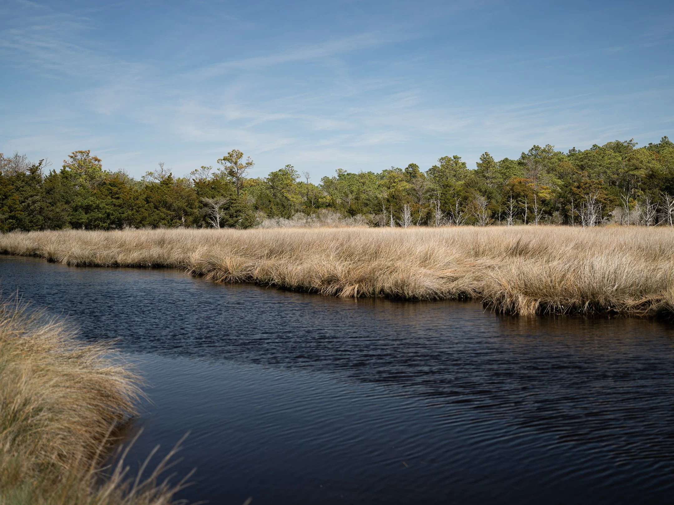 Segment17_04 (1 of 1).jpg