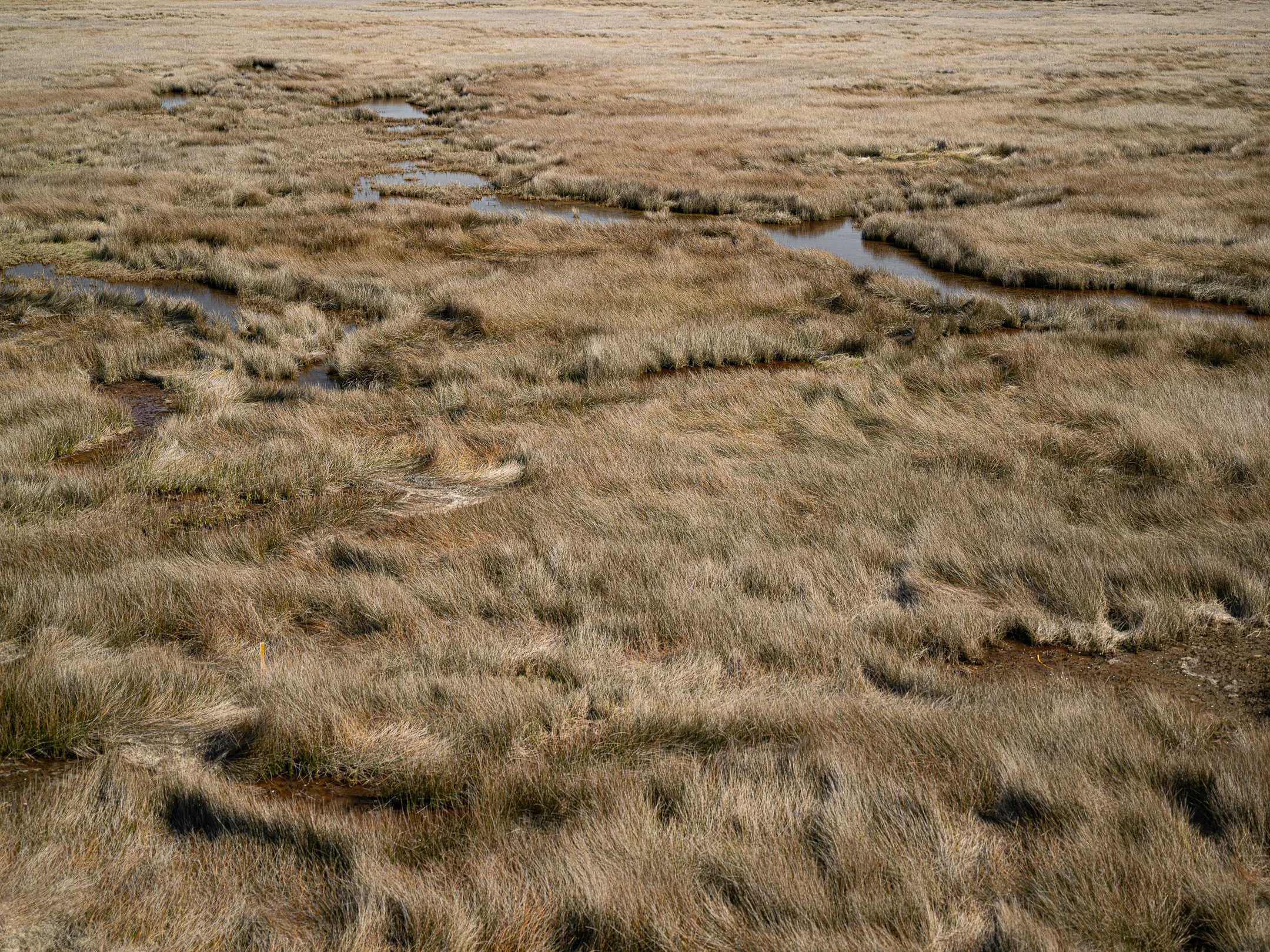 Segment17_07 (1 of 1) - Copy.jpg