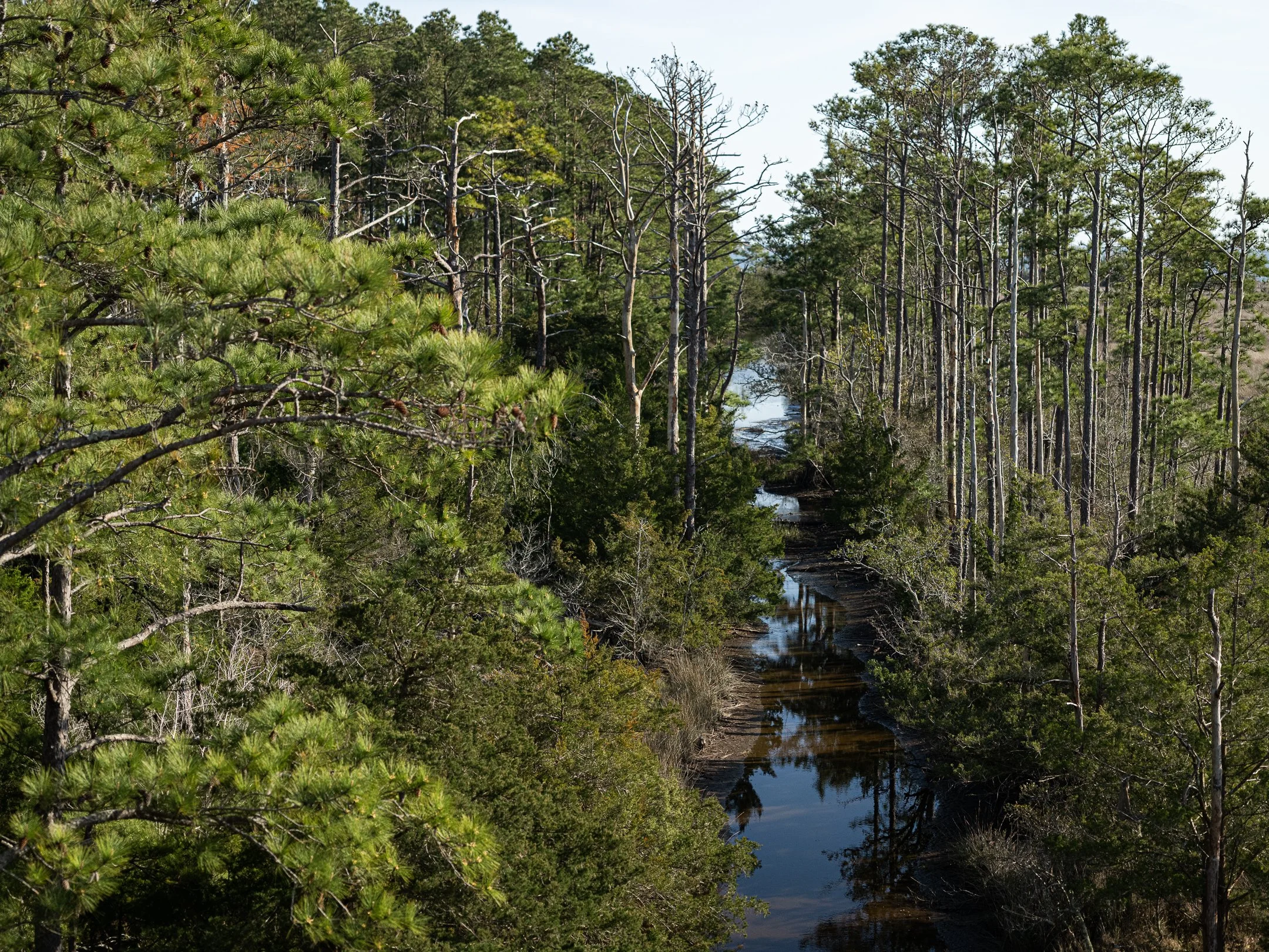 Segment17_09 (1 of 1).jpg