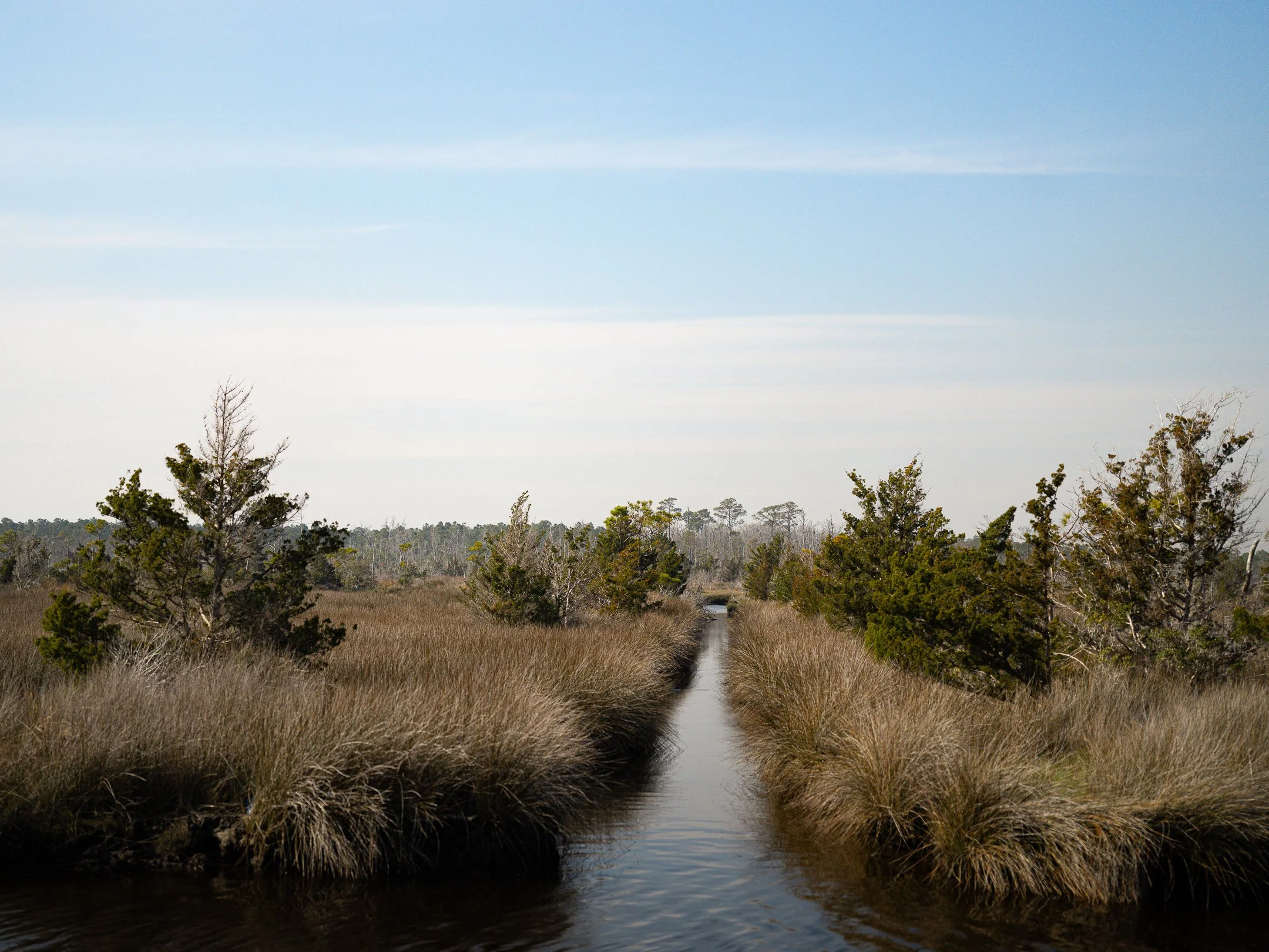 Segment17_11 (1 of 1).jpg