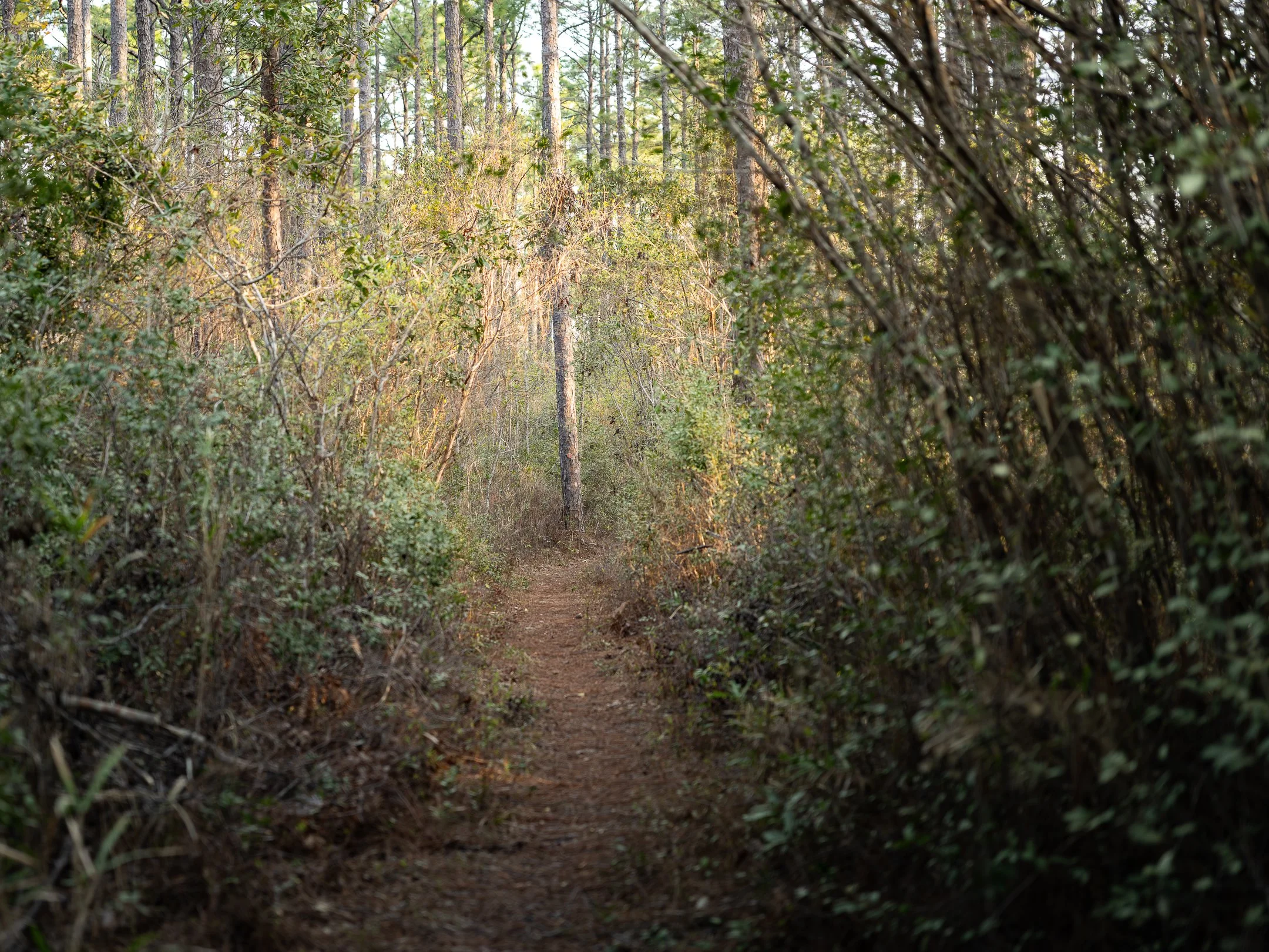 segment16_01 (1 of 1).jpg