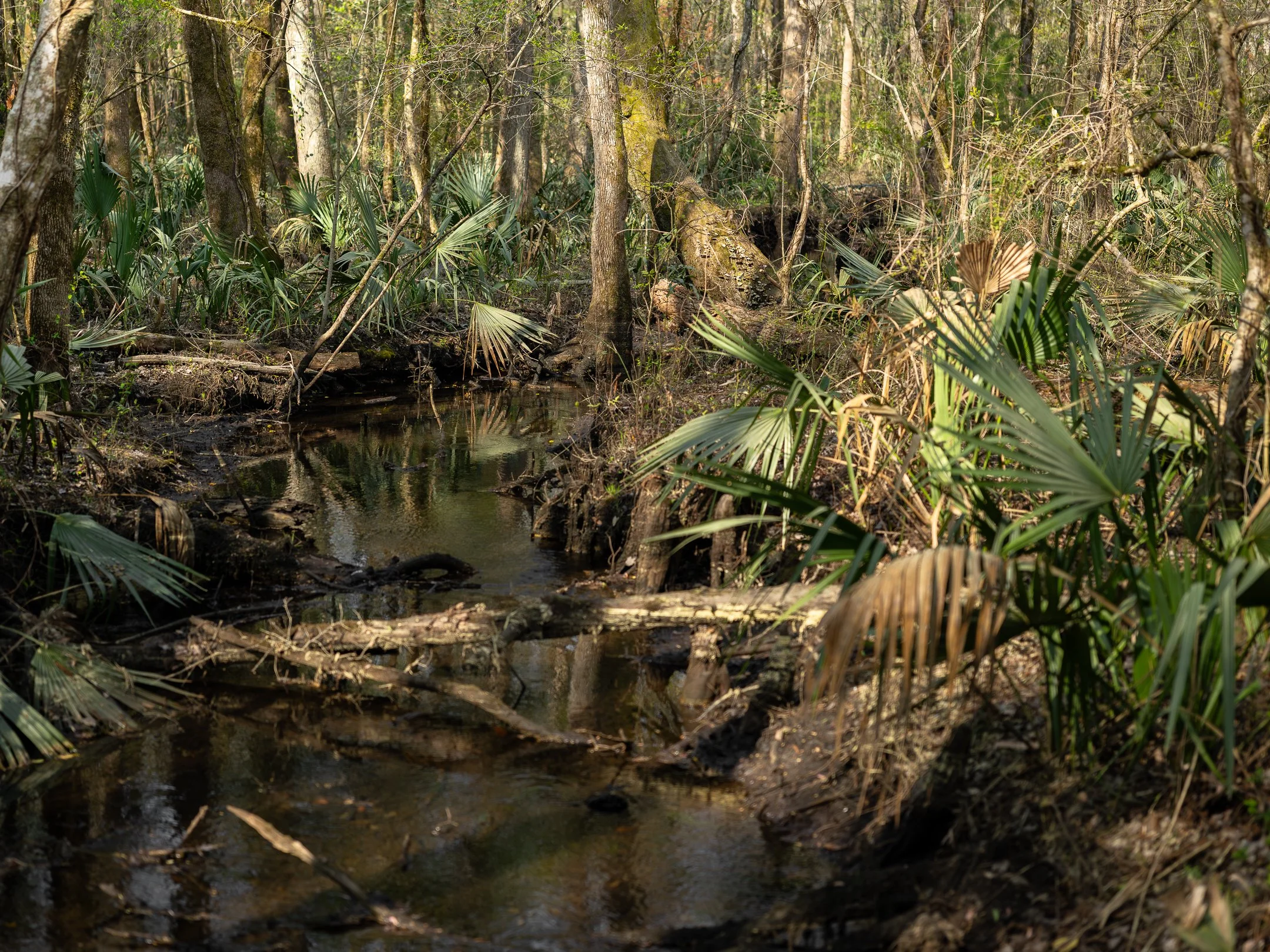 segment16_03 (1 of 1).jpg