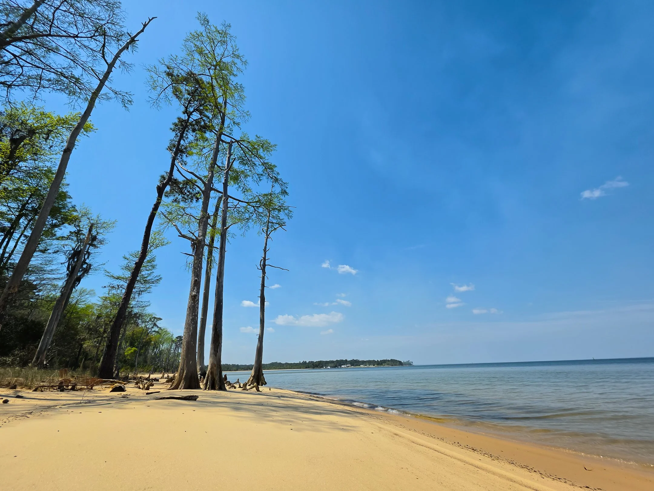 segment16_08 (1 of 1).jpg