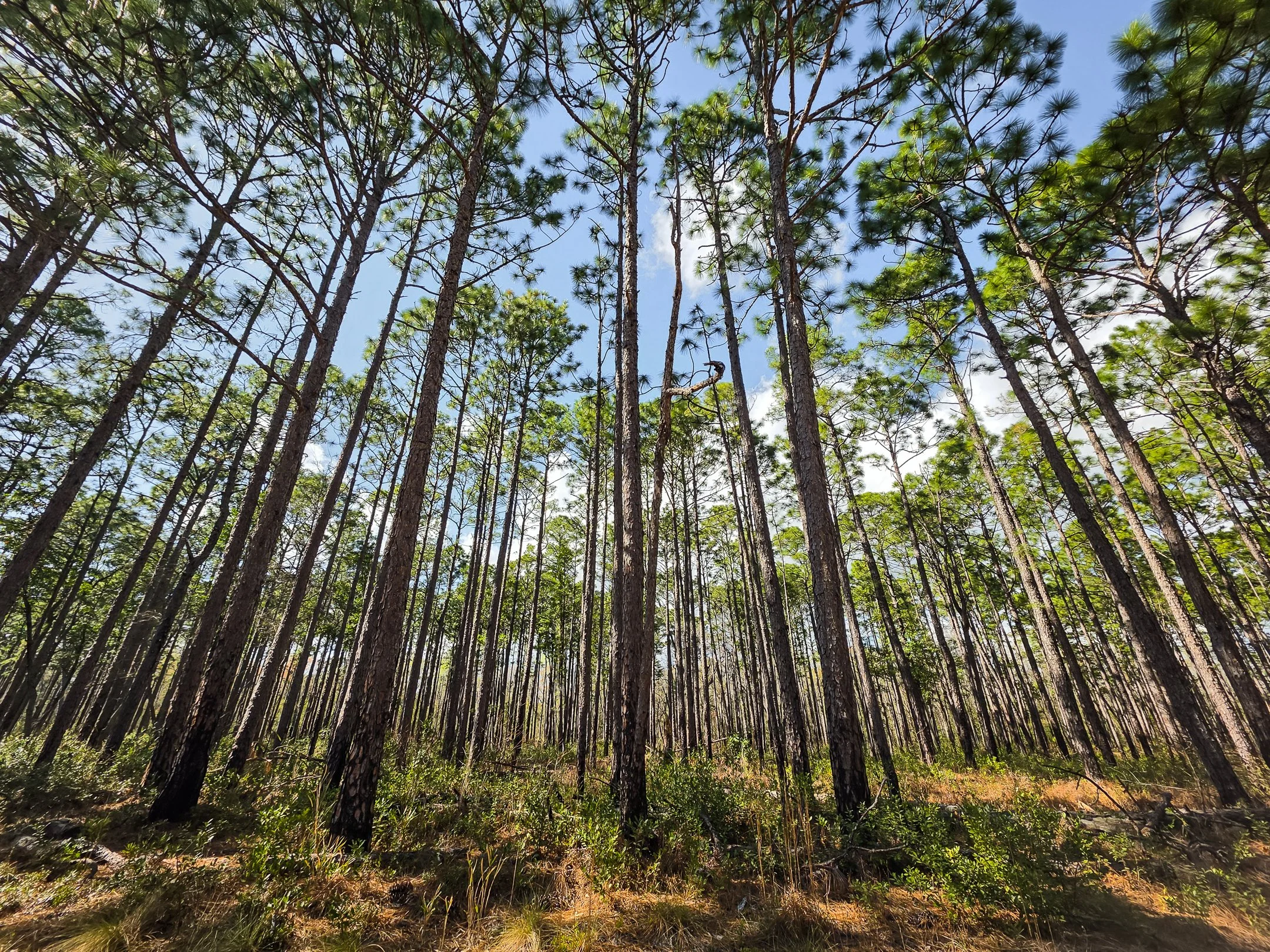 segment16_09 (1 of 1).jpg