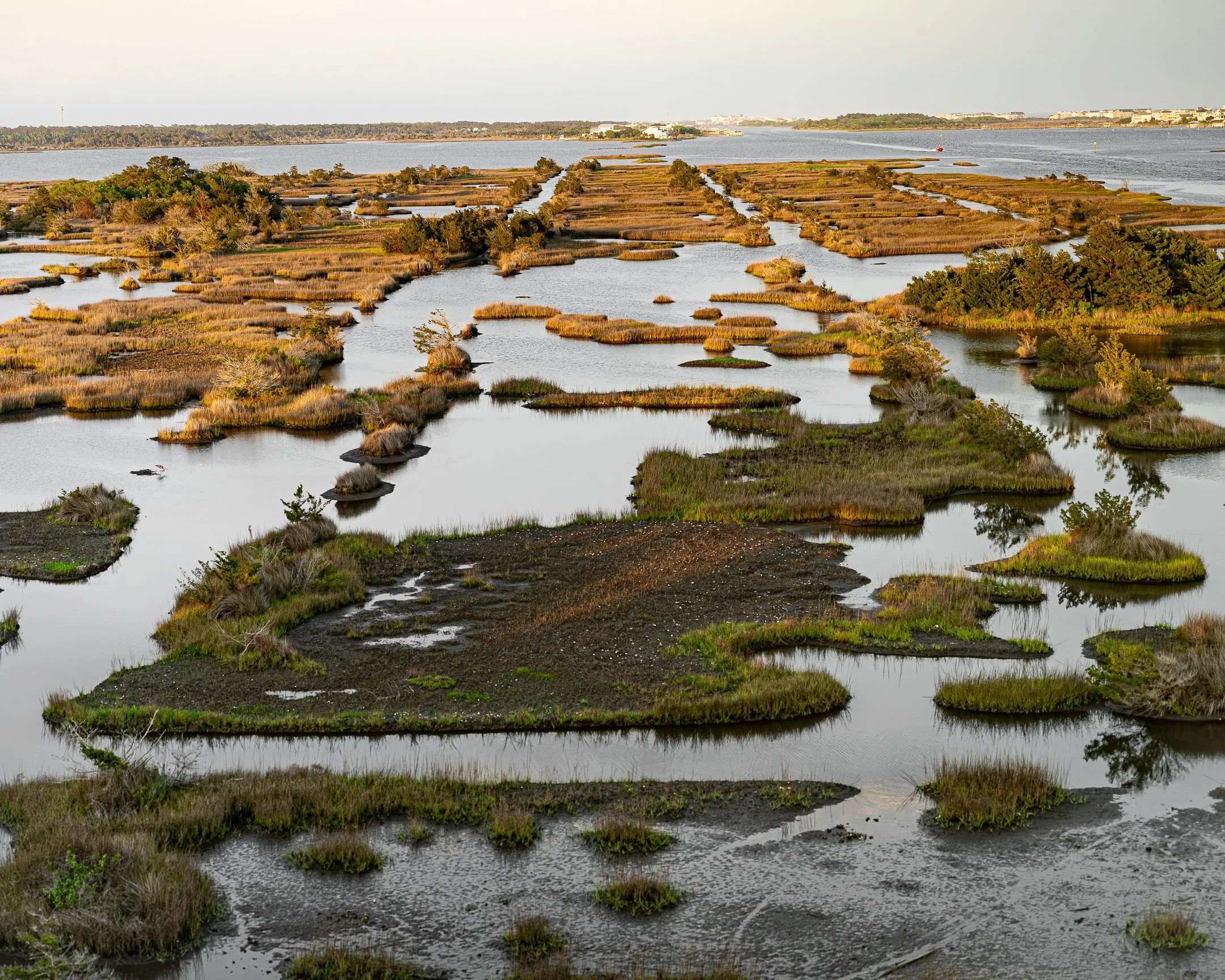 Trek for Connectivity: Segment 15 ~ Topsail Island Ecosystem