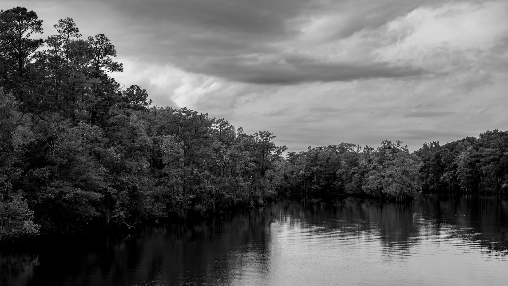Trek for Connectivity: Segment 14 ~ Wetlands, Forests, and Rivers 