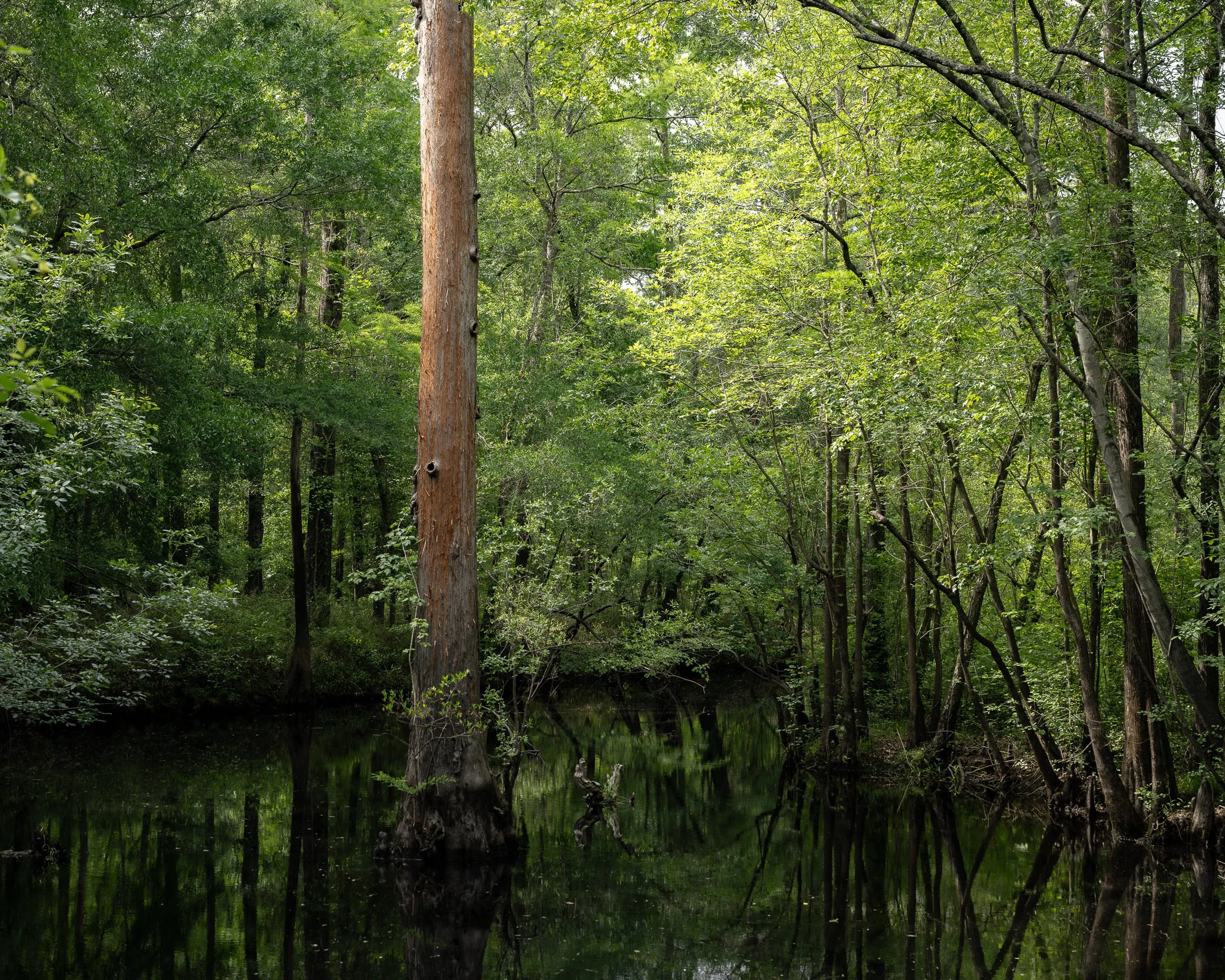 seg14_01 (1 of 1) - Copy.jpg