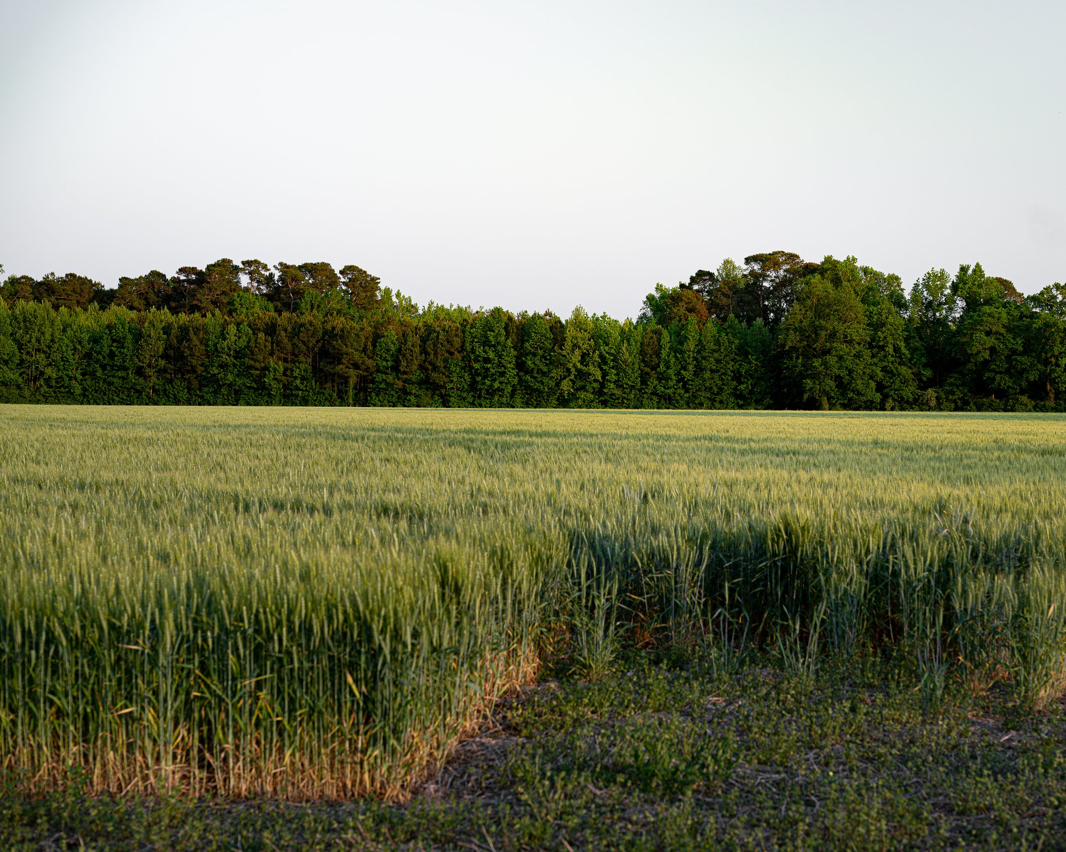 seg14_06 (1 of 1) - Copy.jpg