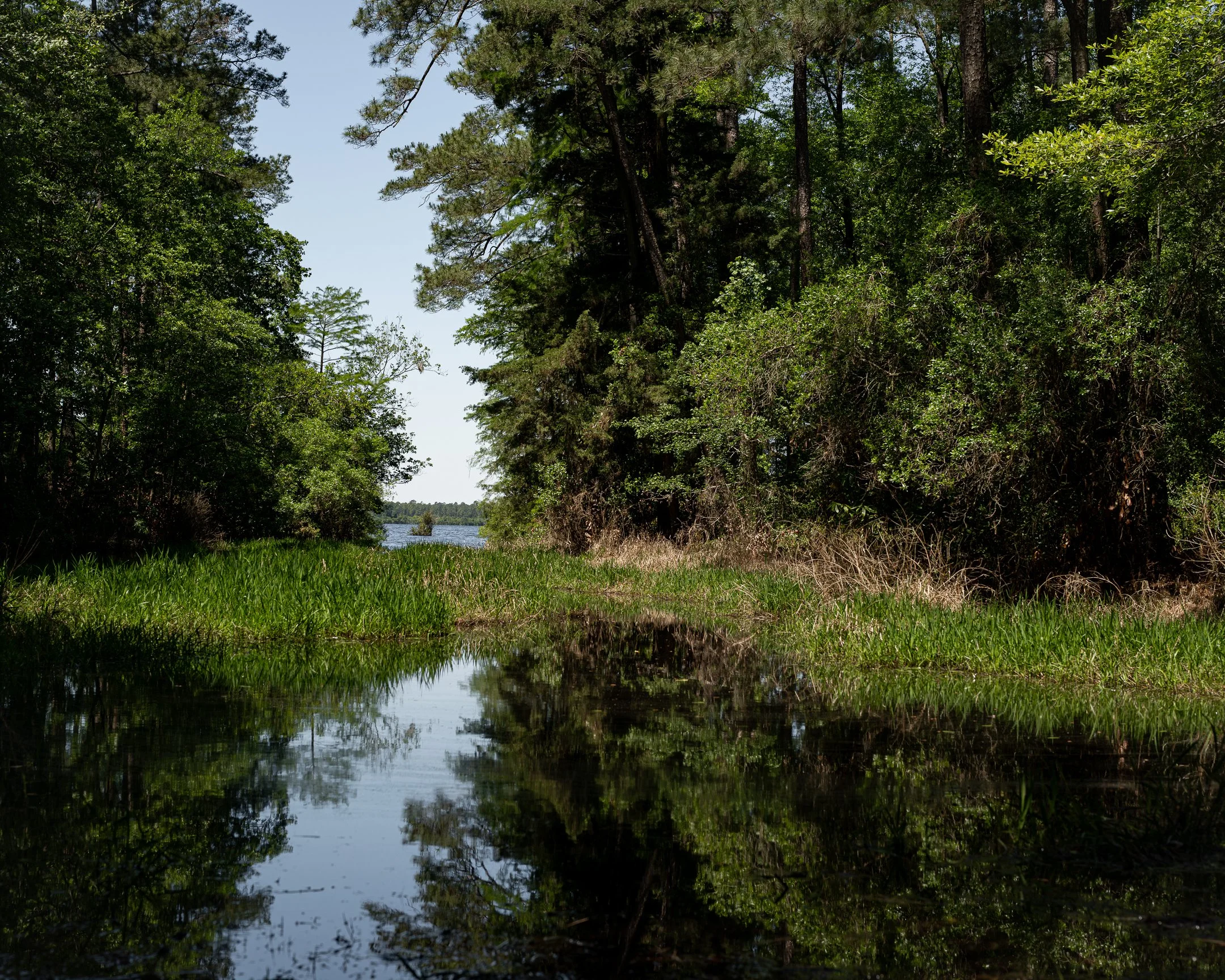 Trek for Connectivity: Segment 13 ~ Carolina Bays