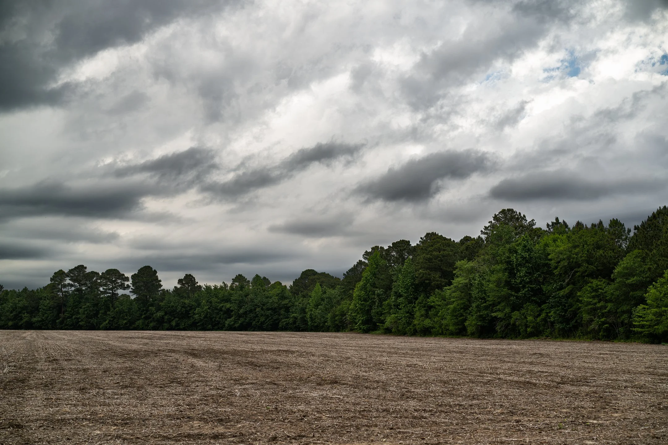 seg12_04 (1 of 1).jpg