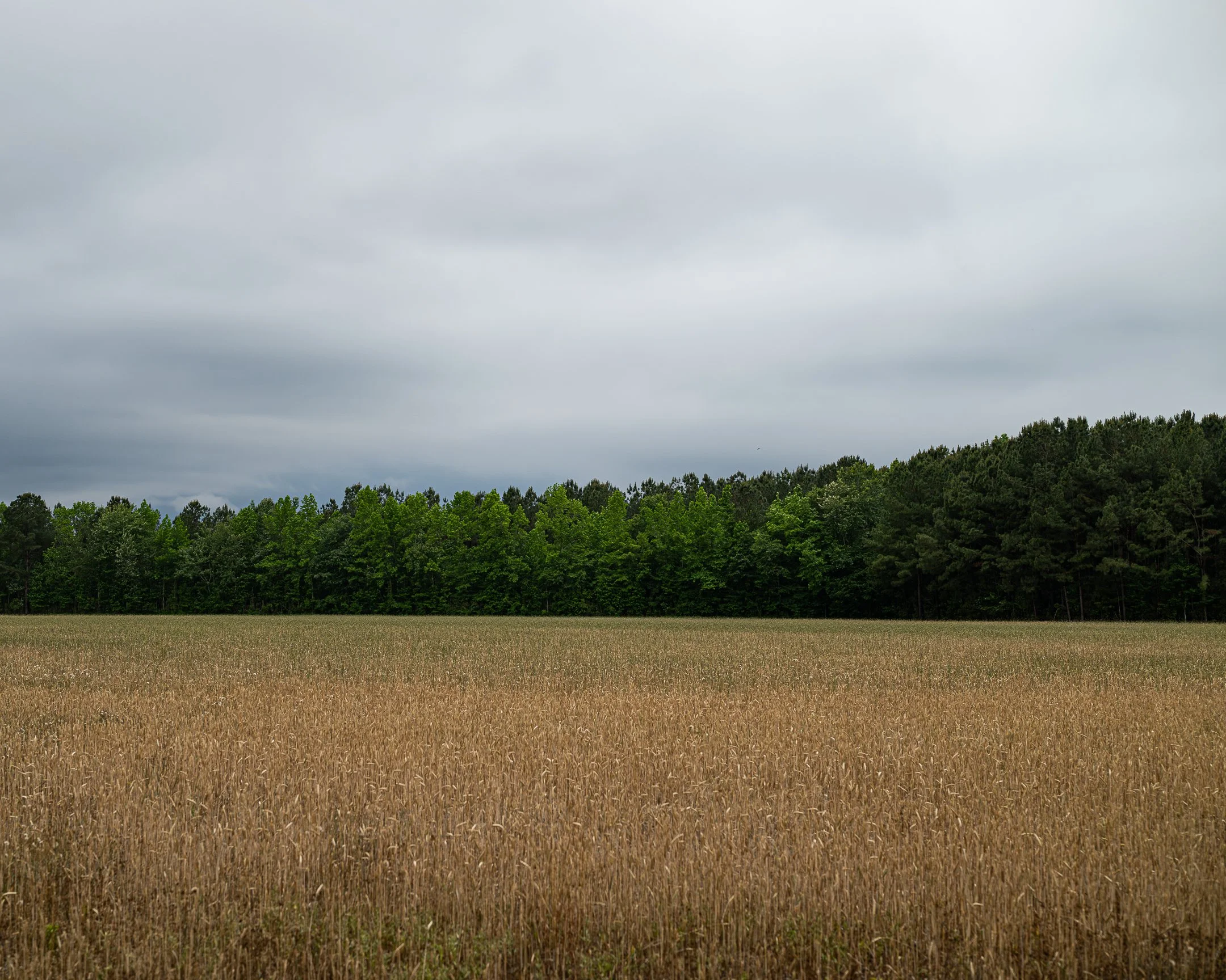 seg12_06 (1 of 1).jpg