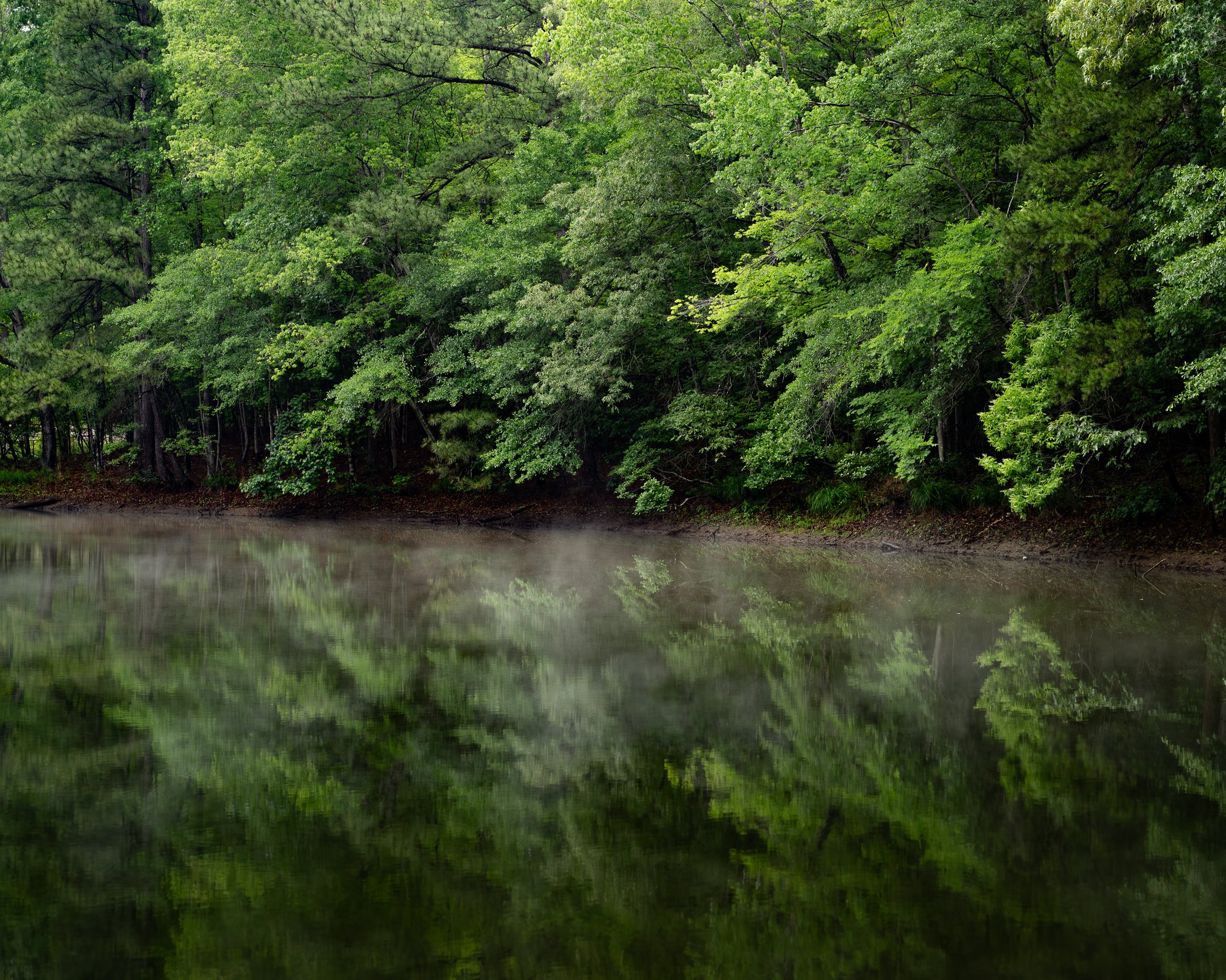Trek for Connectivity: Segment 10 ~ Falls Lake &amp; The Eno River
