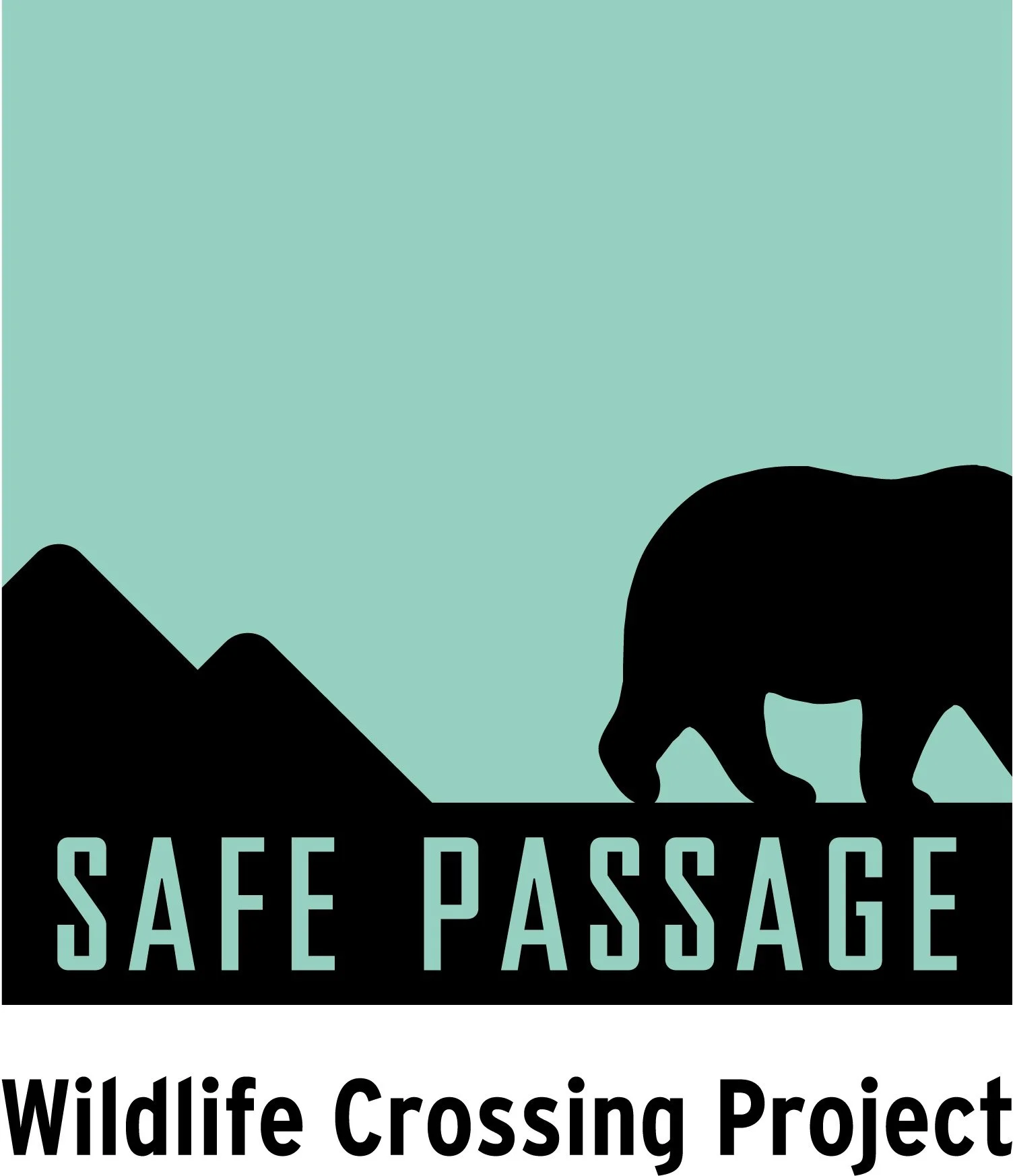 _Safe Passage logo - updated Mar 2025.jpg