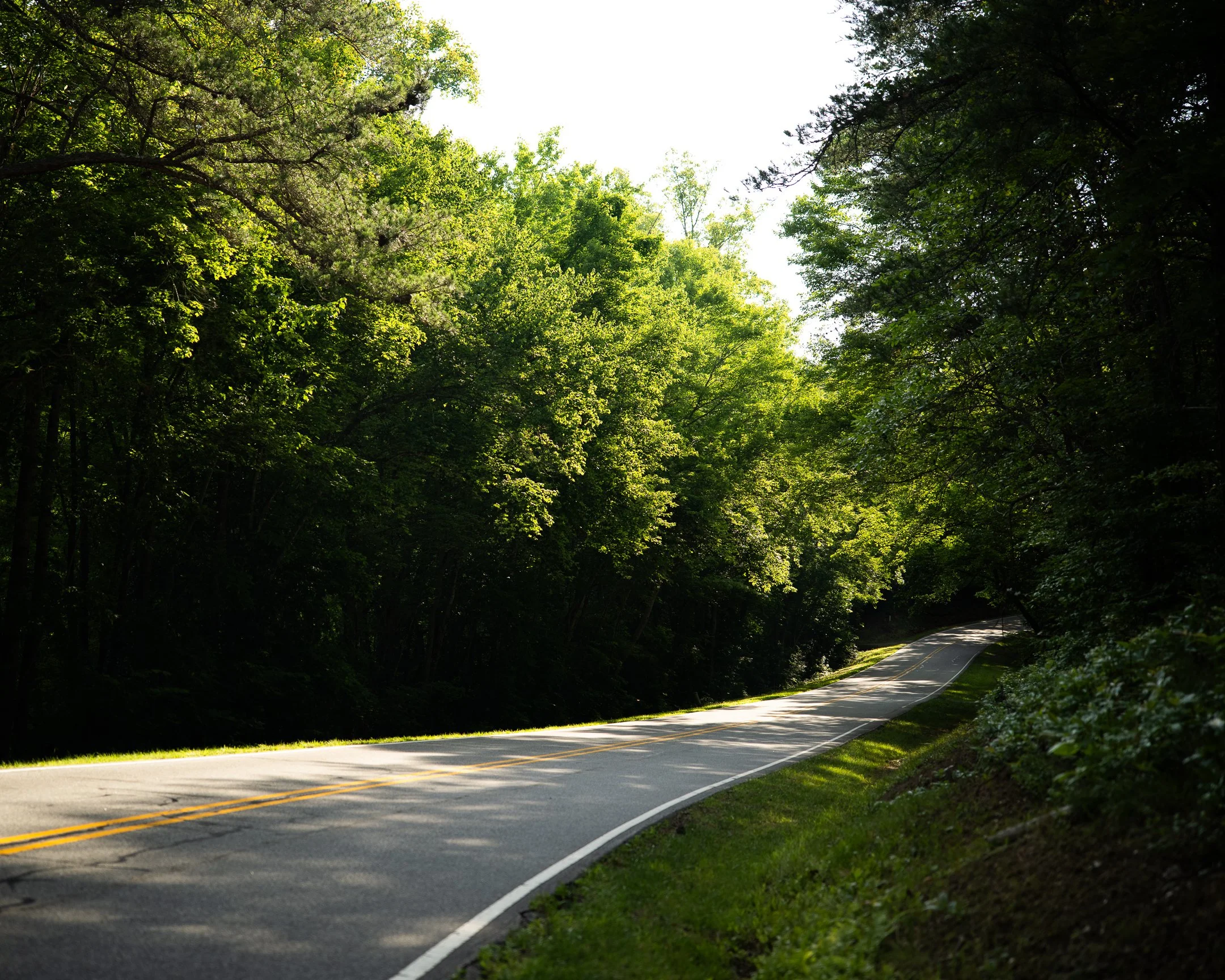 road (1 of 1).jpg