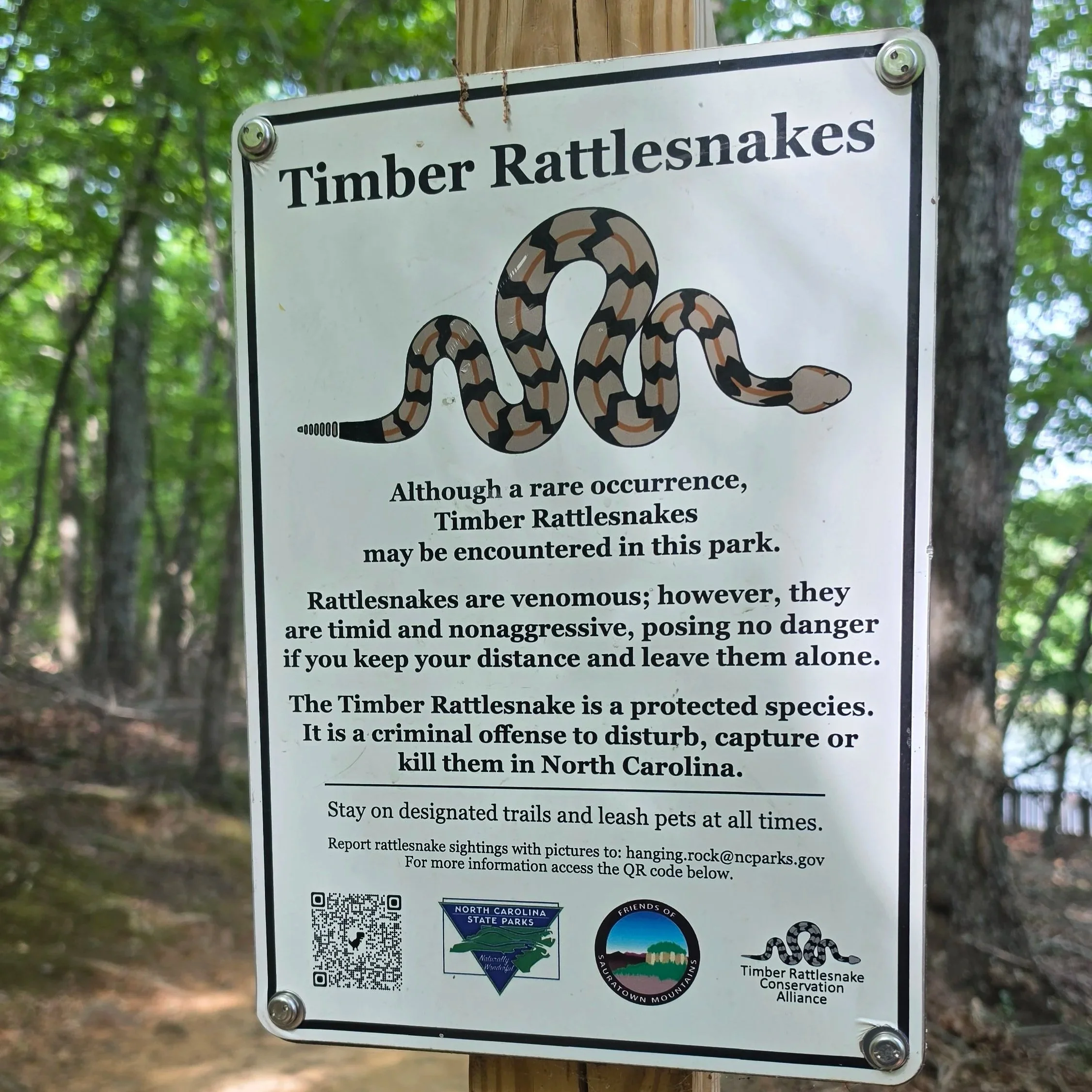 20260608_095744.jpg