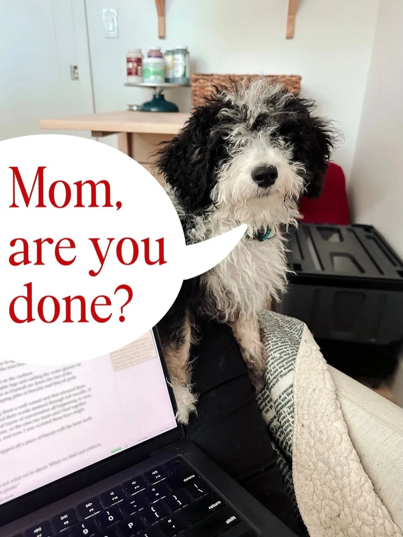 Another manuscript is ready for the world!  This year I&rsquo;ve been working on a novella to accompany Wrecked and Rising, and I am so happy to share that it&rsquo;s ready for my editor! For more on the story, and how I&rsquo;m celebrating this mile