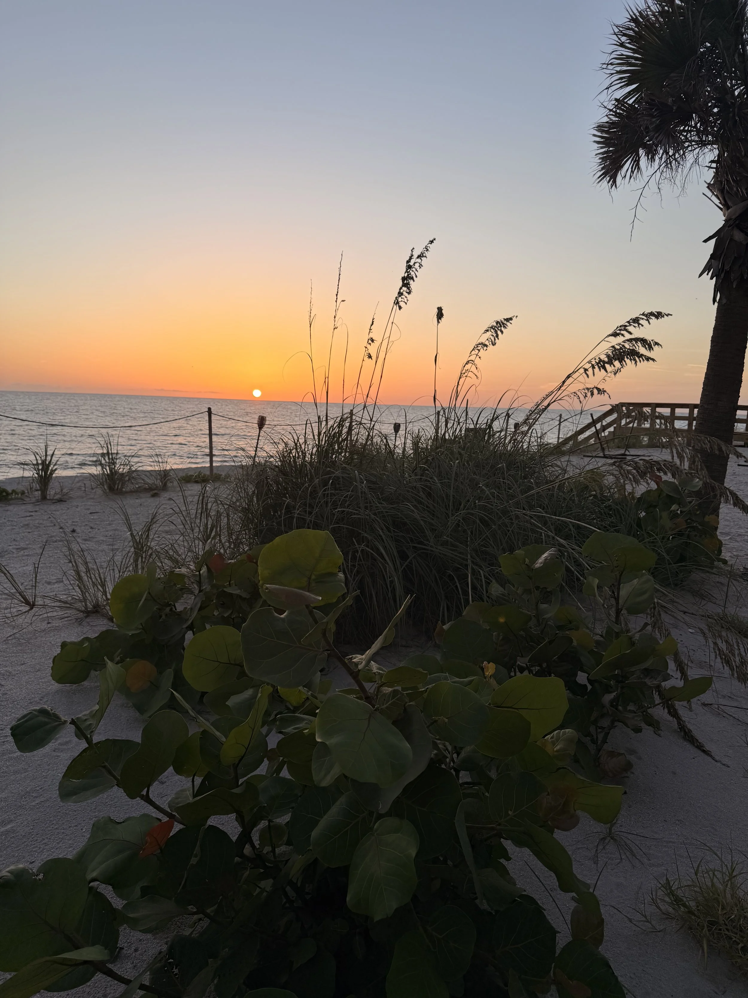 IMG_6754.jpeg