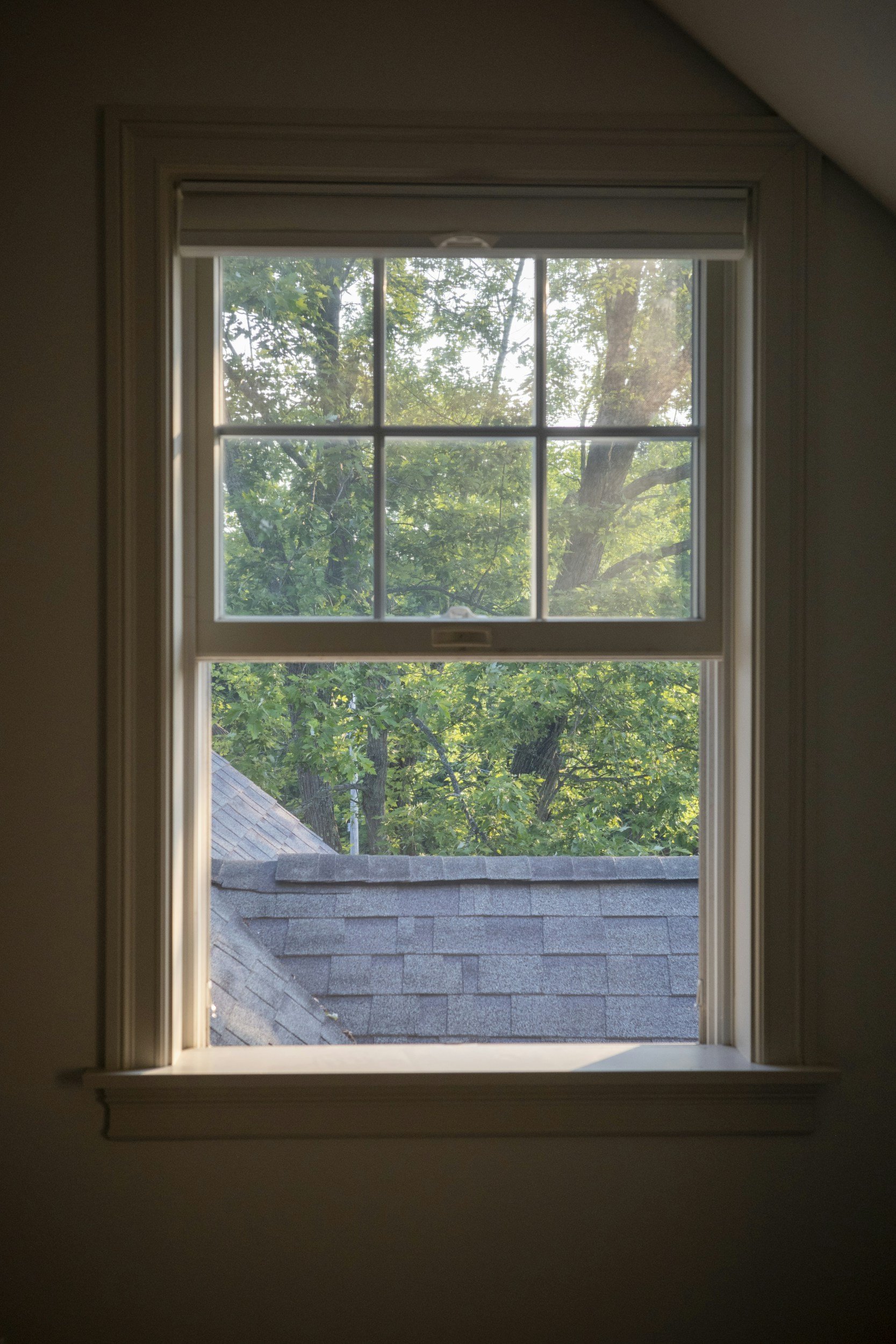 View through a window showing trees with green leaves and roof shingles outside.