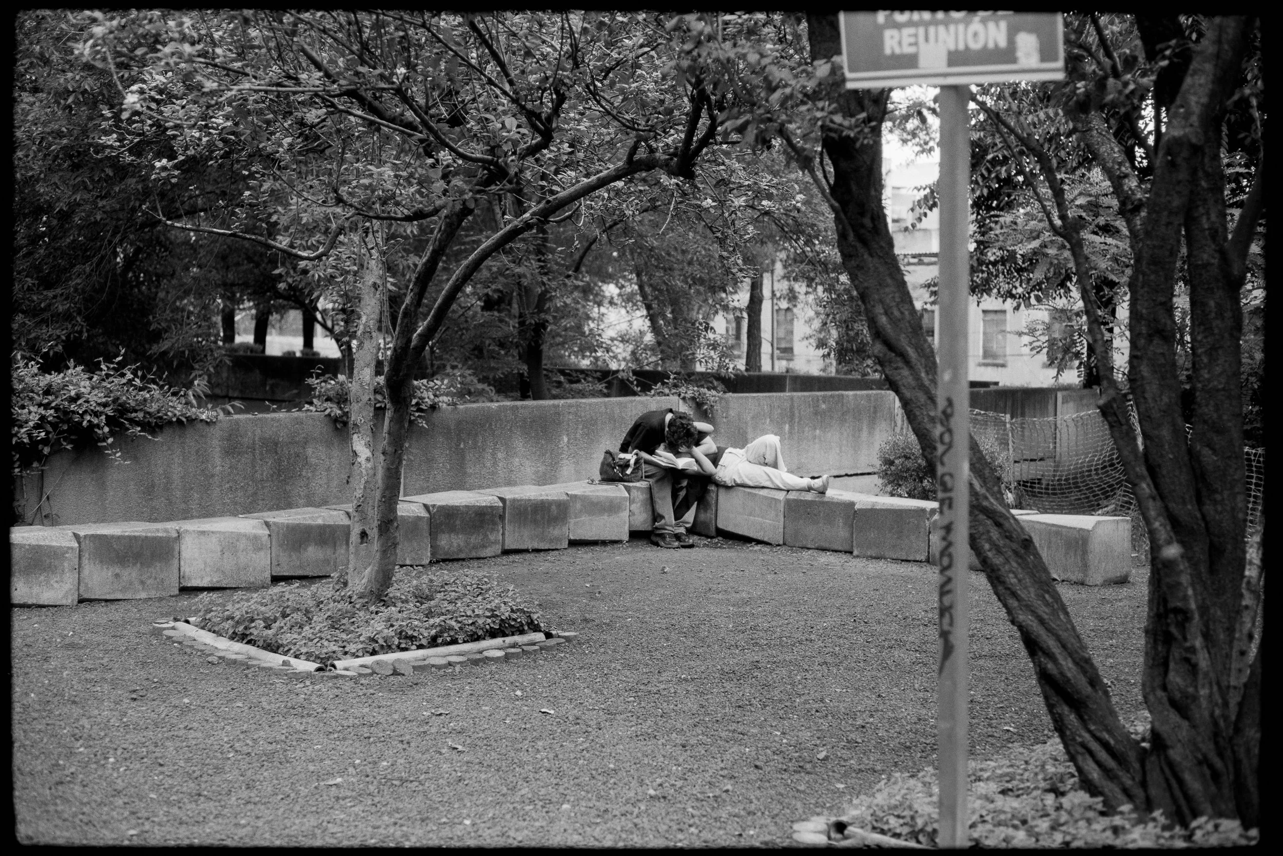 Mexico City, July 2026_Mandler35mmf2_TMAX100-10.JPG