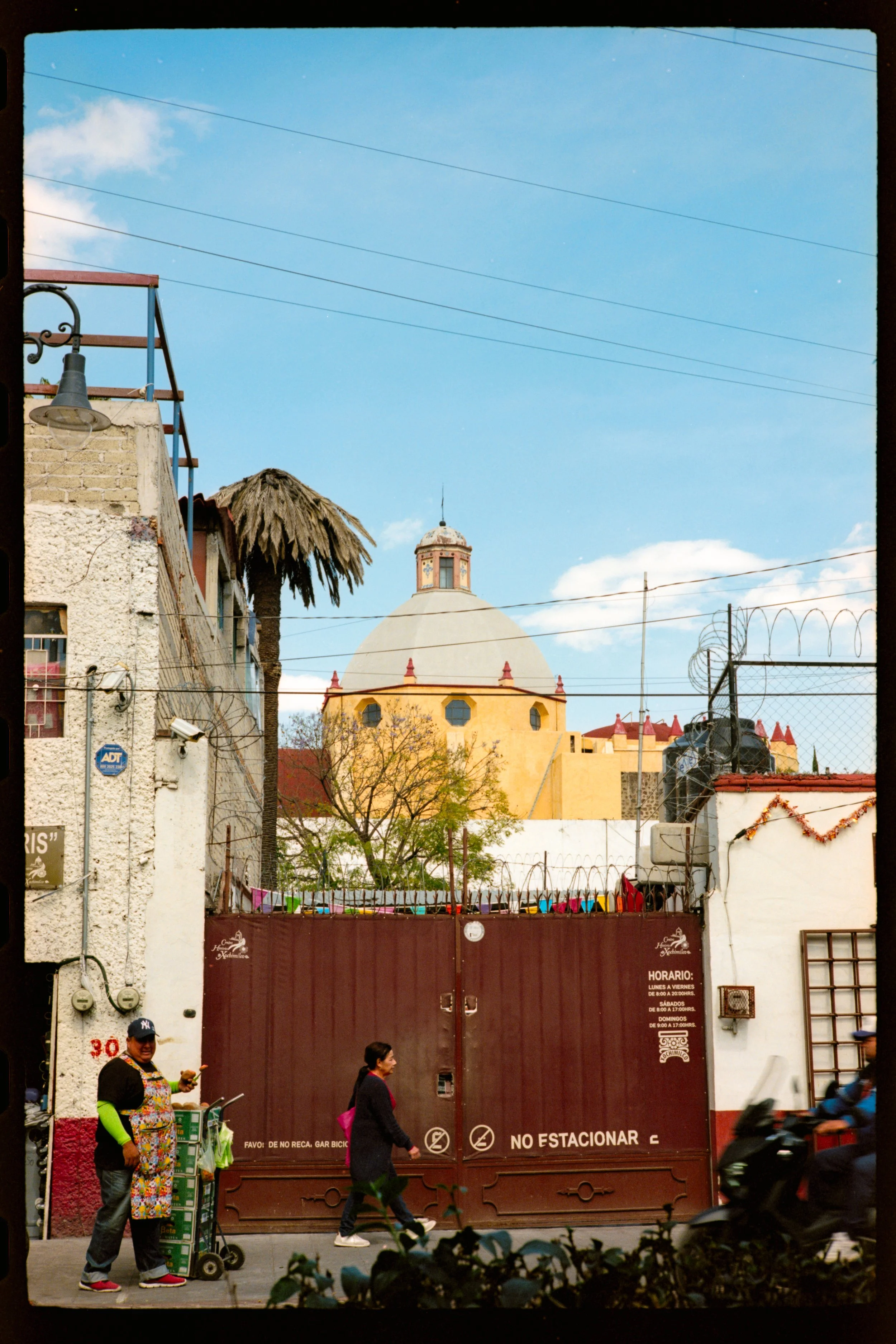 Mexico City, January 2026-MP-EKTAR100-18.jpg