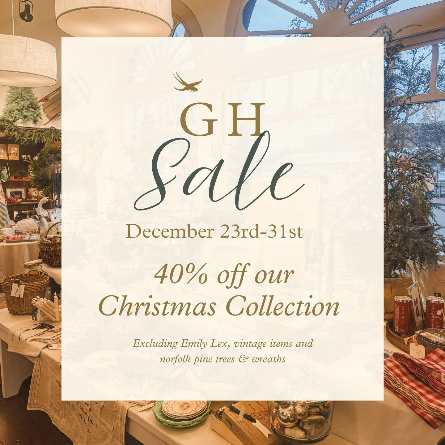 A little Christmas cheer, just for you! 😘🎄❤️