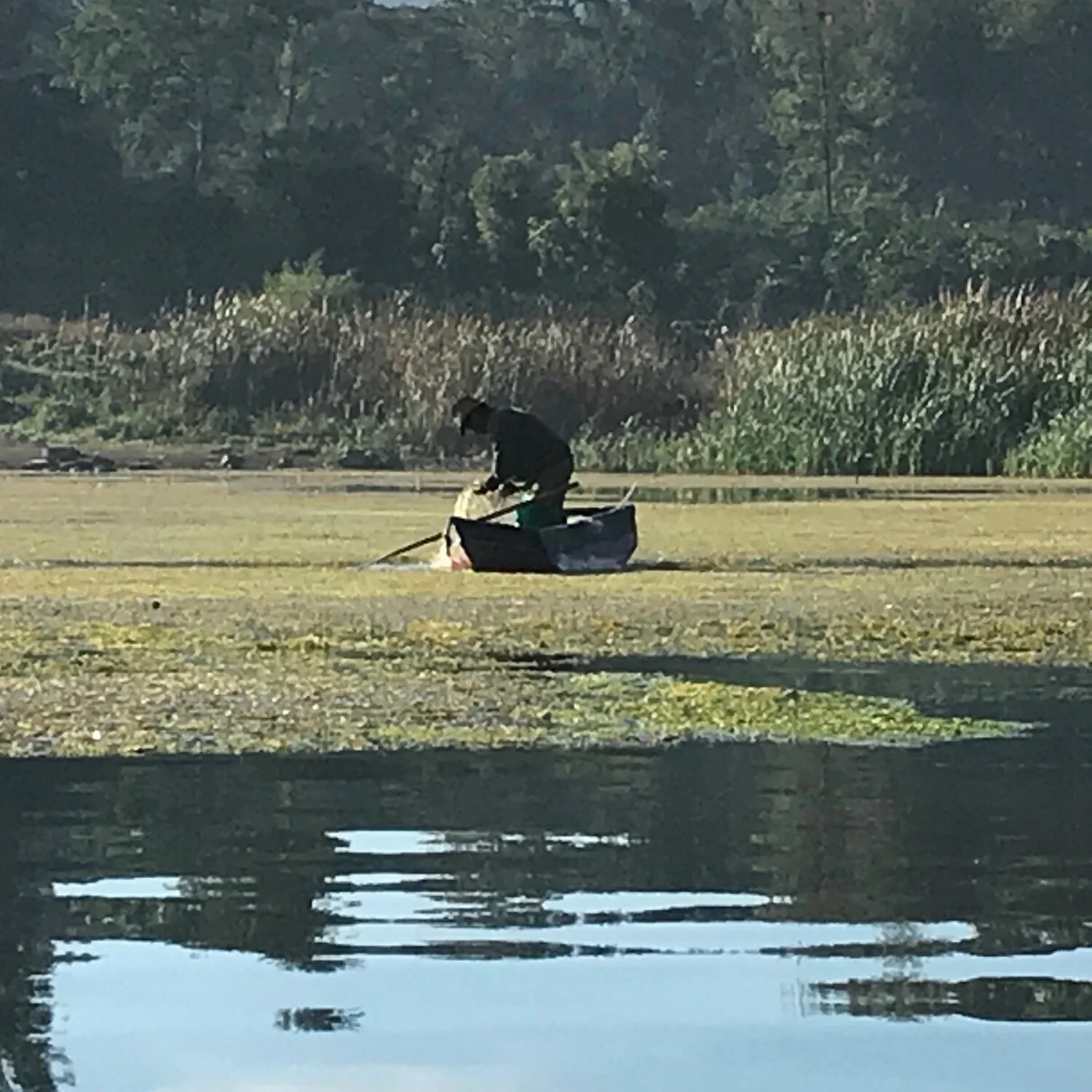 11.12.2020 IMG_0022.jpeg