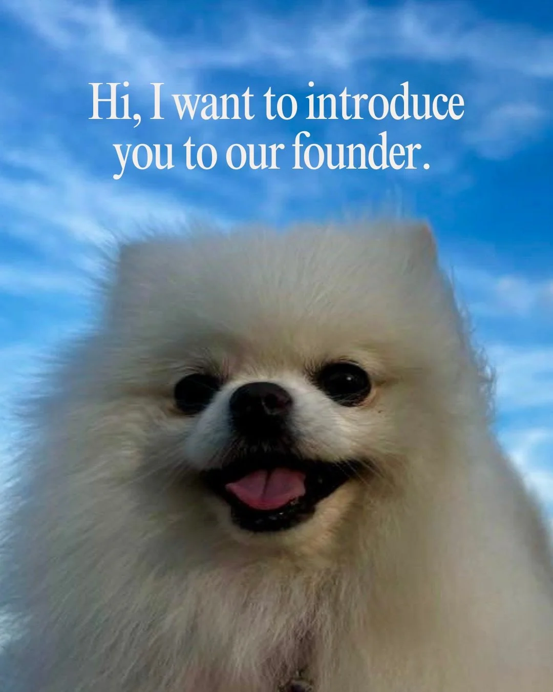 Today&rsquo;s Instagram takeover, brought to you by the founder&rsquo;s pup.

Let me introduce you to Mimi, the heart behind it all and my full time treat supplier.

Swipe for a few fun facts about the human behind it all.

Then maybe&hellip; we conv