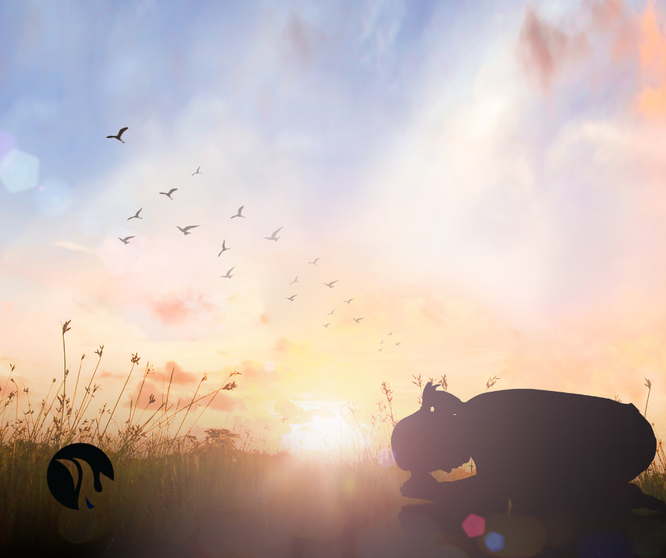 Hearing Gods Voice - for your bit of earth