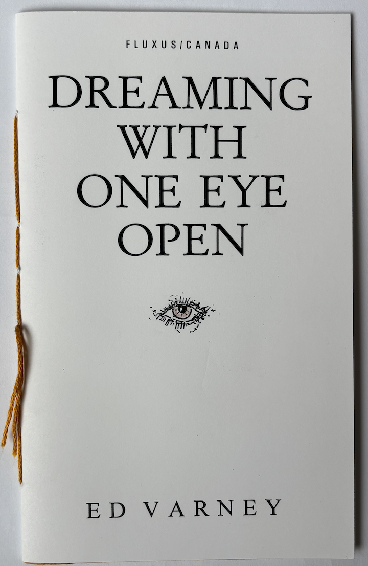 Dreaming With One Eye Open by Ed Varney