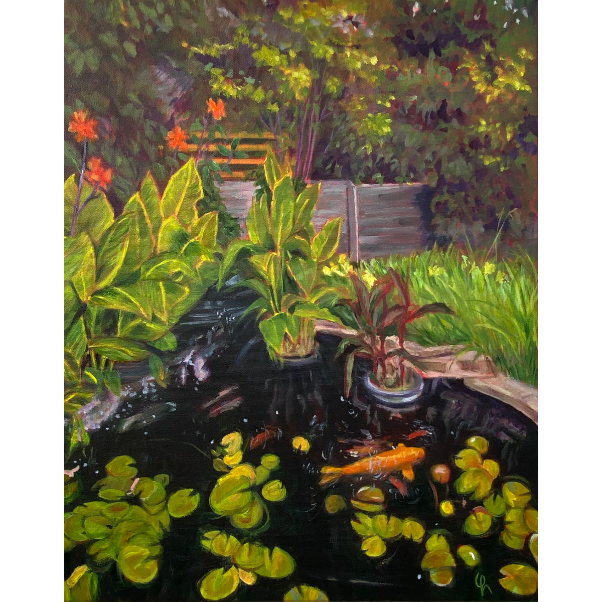 Mr. Donald's Garden