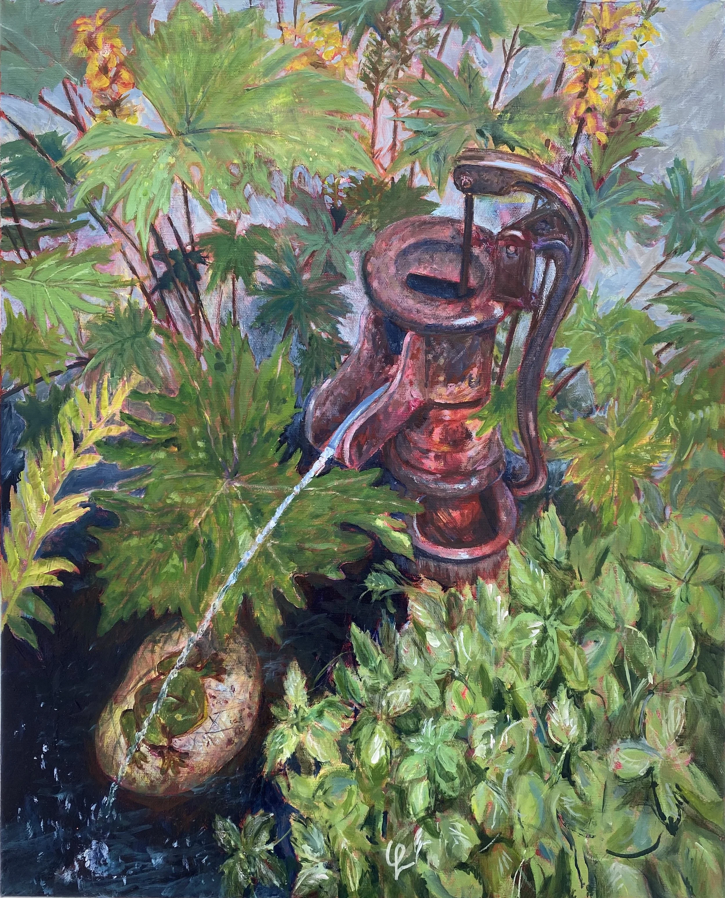 Carol's Garden_6397.jpeg