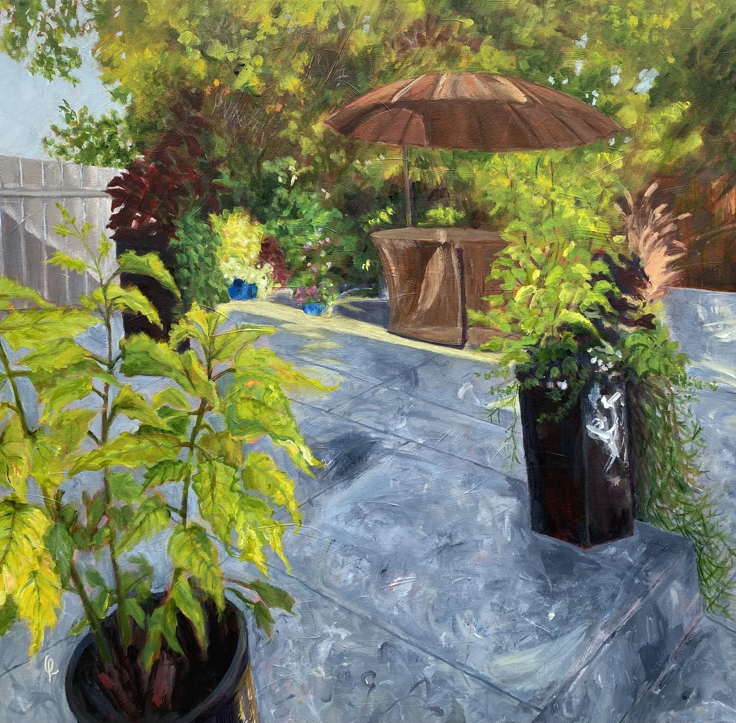 Lynda's Garden_cropped.5823 .jpeg