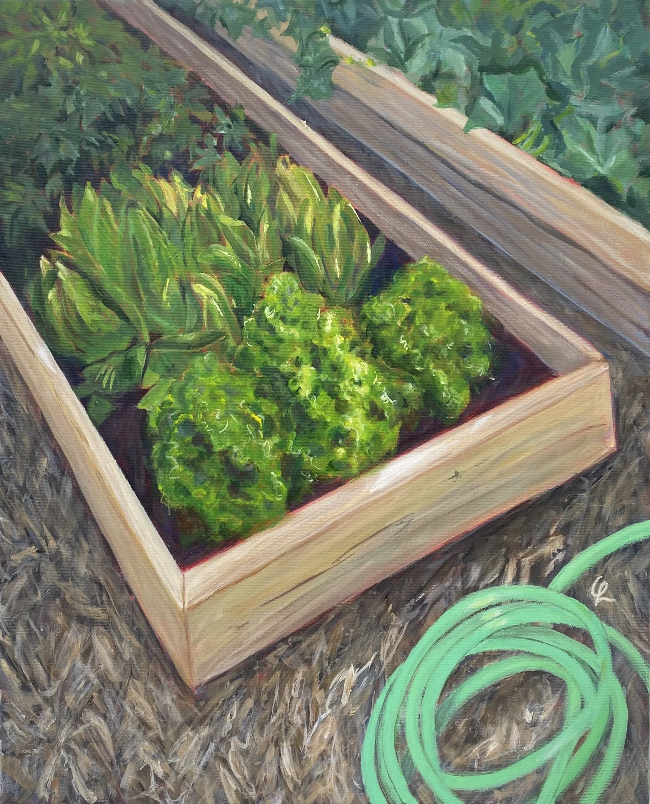 Mark's Garden.6181.jpeg