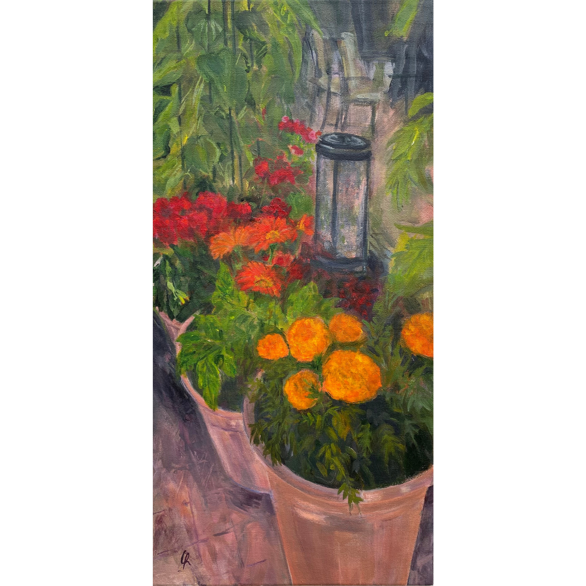 Randy's Garden