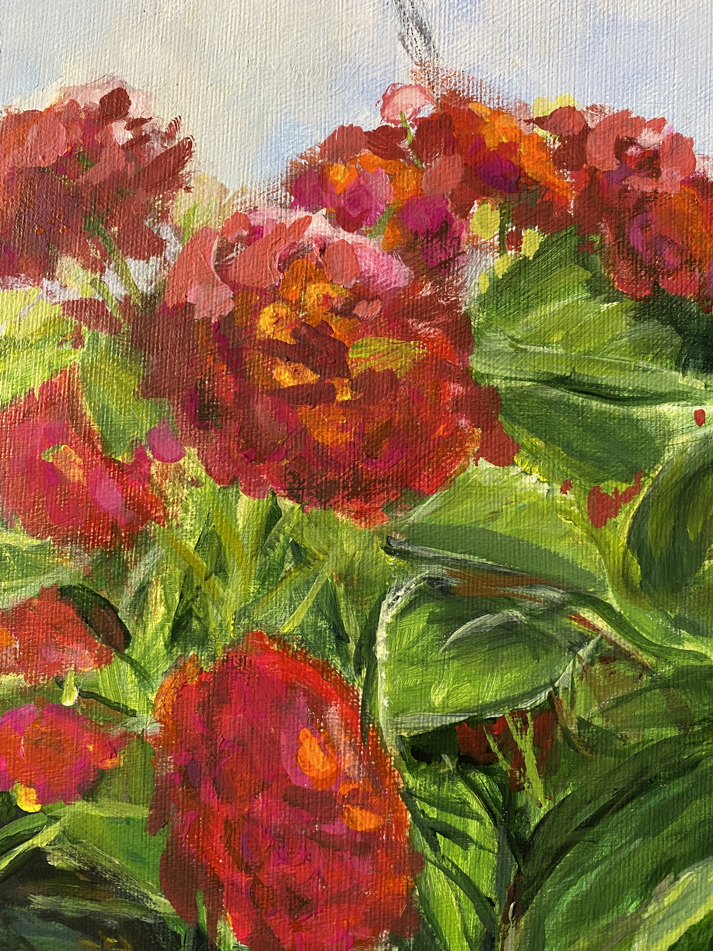 Barb's close_6590.jpeg