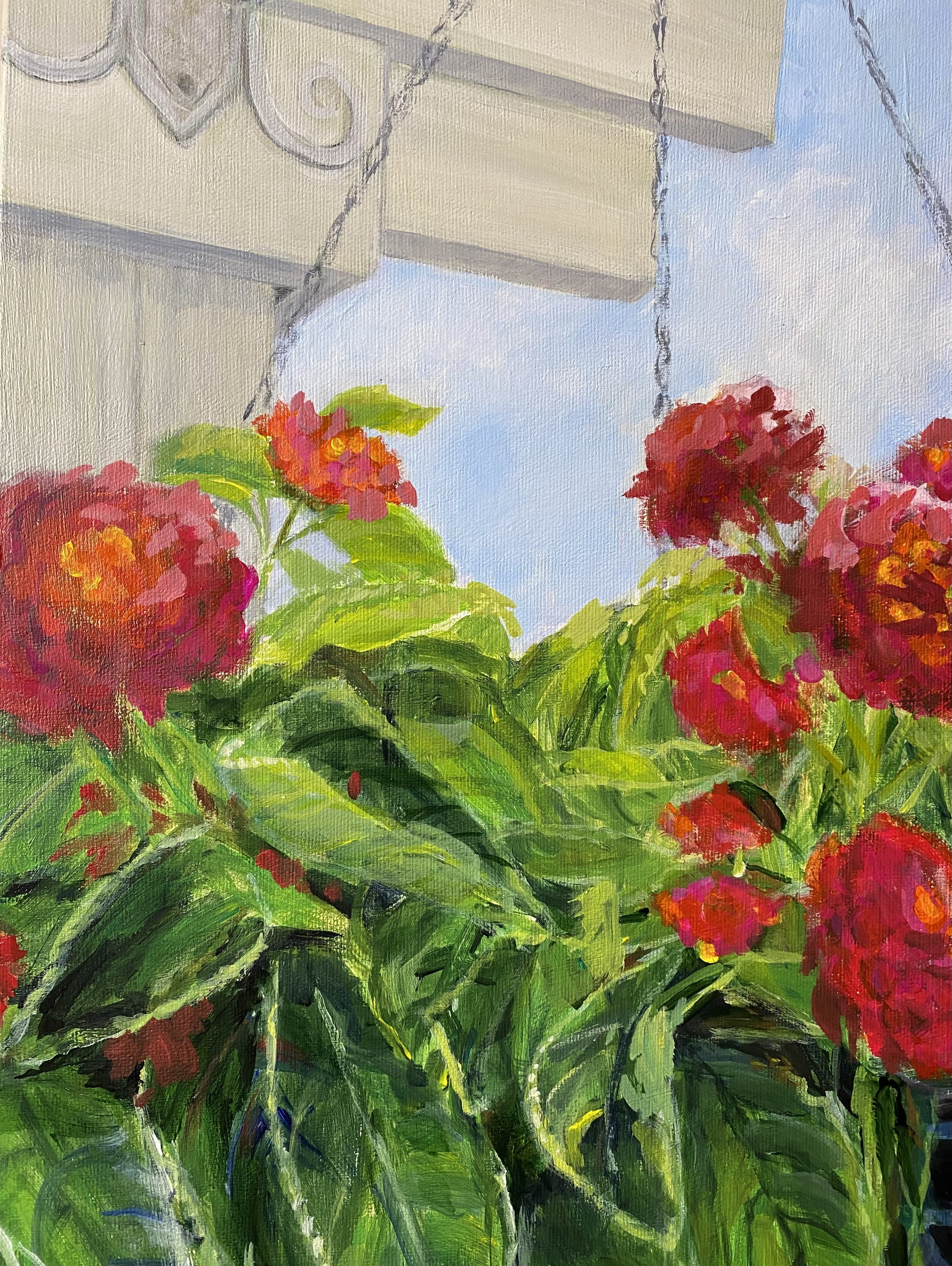 Barb close_6591.jpeg