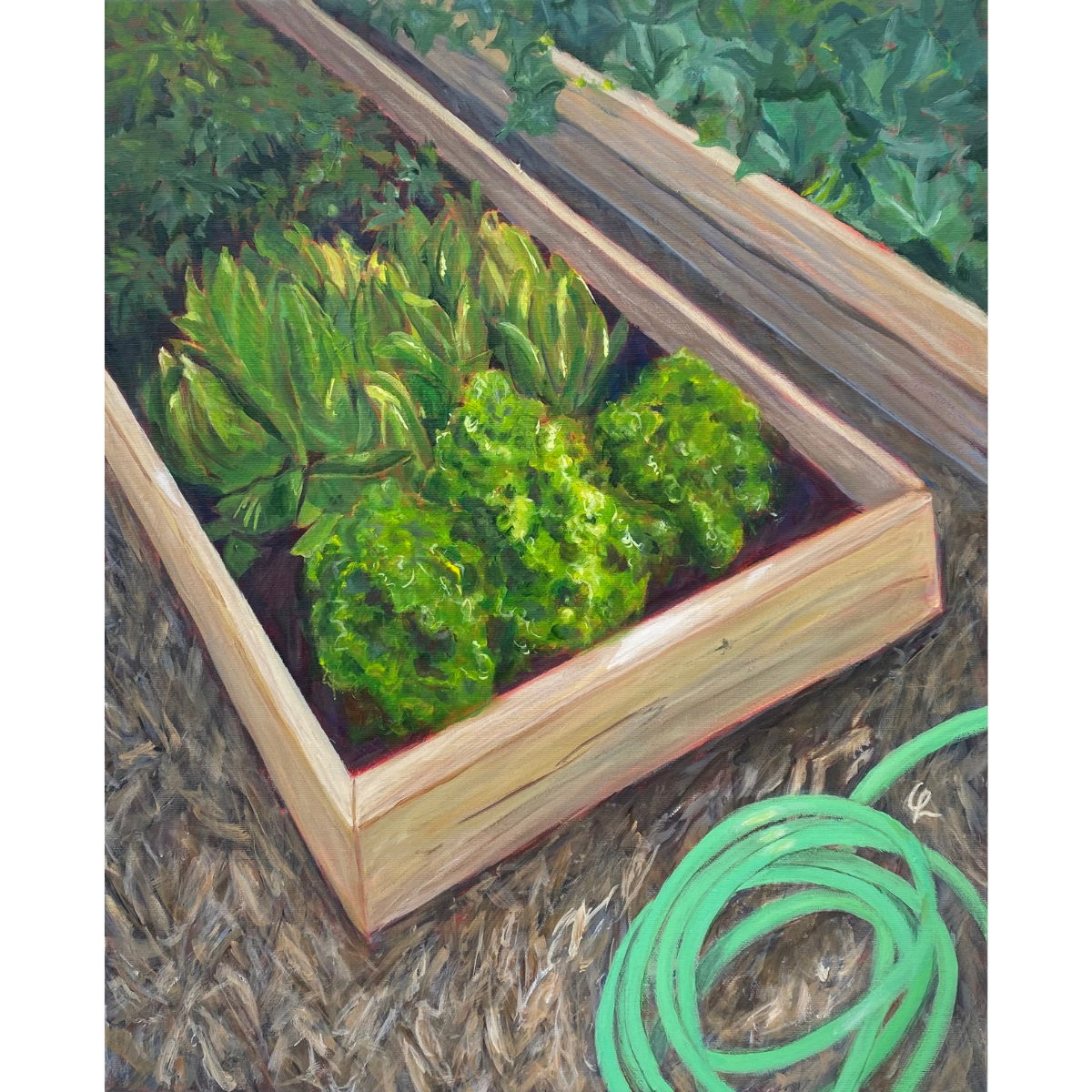 Mark's Garden