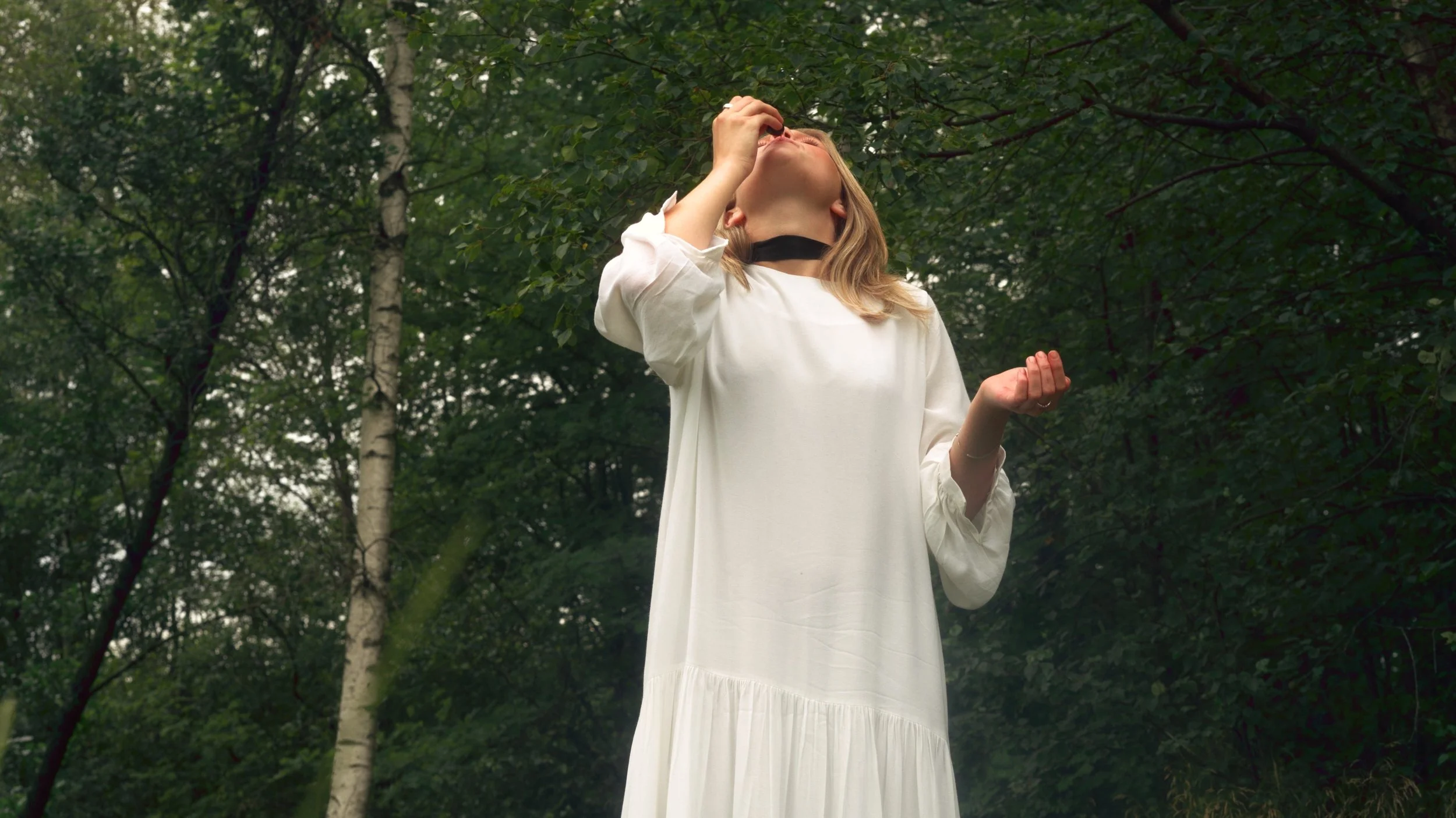 Draumfarinn, film still