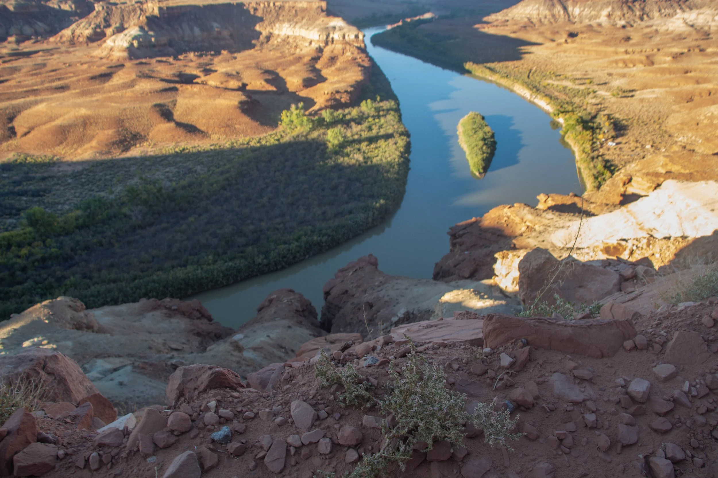 Over the edge of the Cliffs of Insanity / right behind the blade of grass