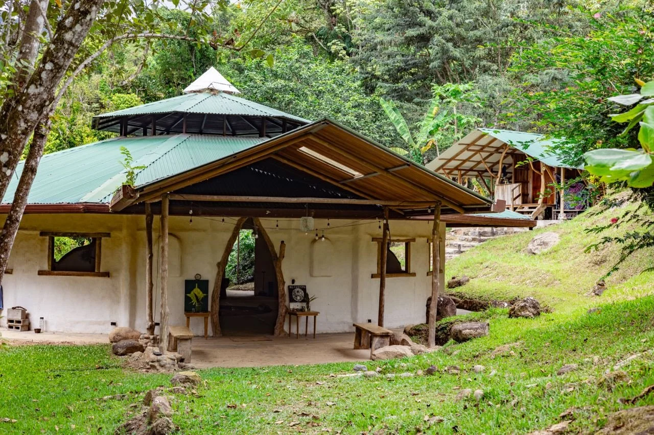 A rustic cottage in a lush green forest with a patio, additional small outdoor structures, a grassy yard, and uneven terrain.