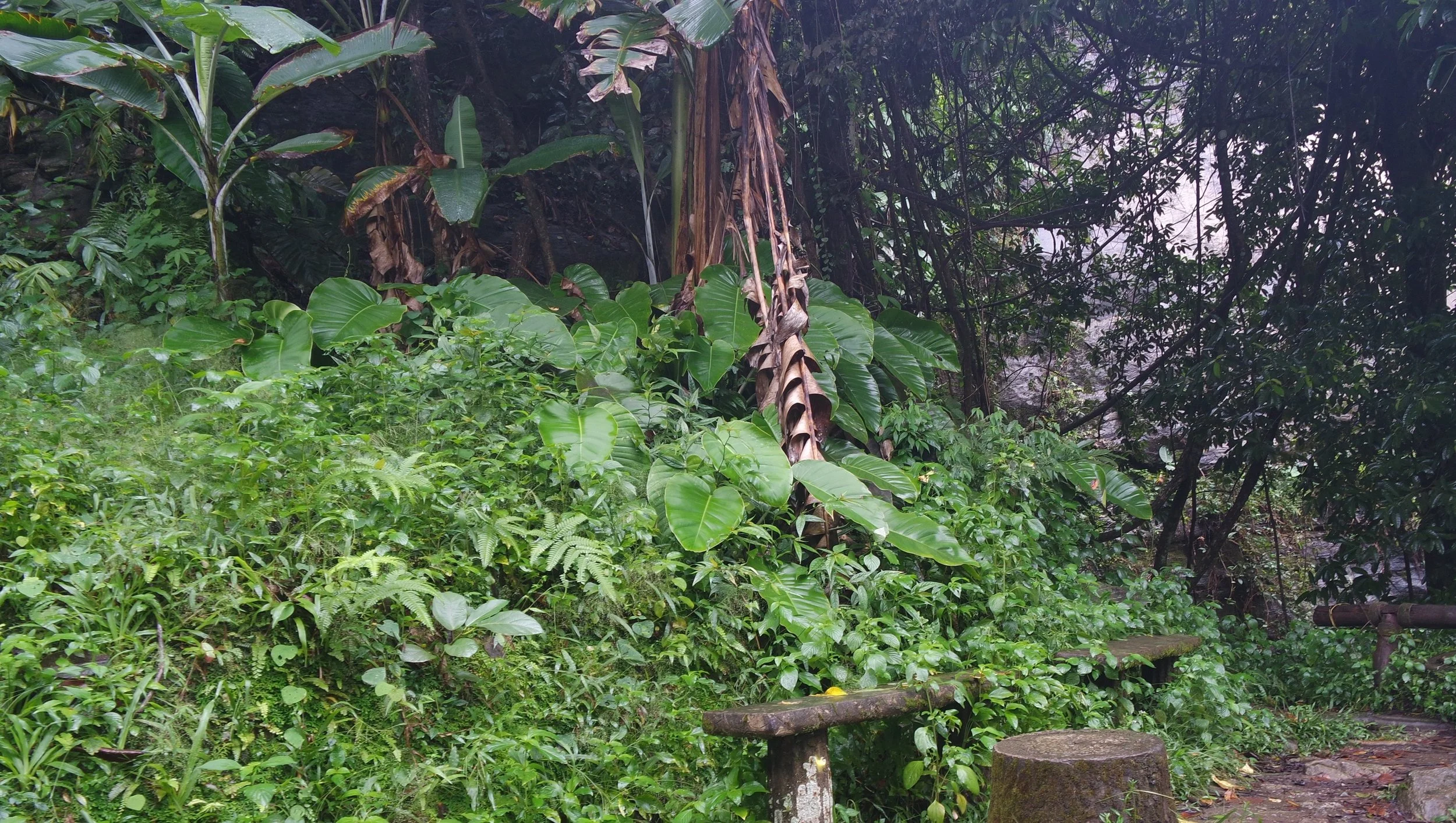 Assayuja and Sarata, 2