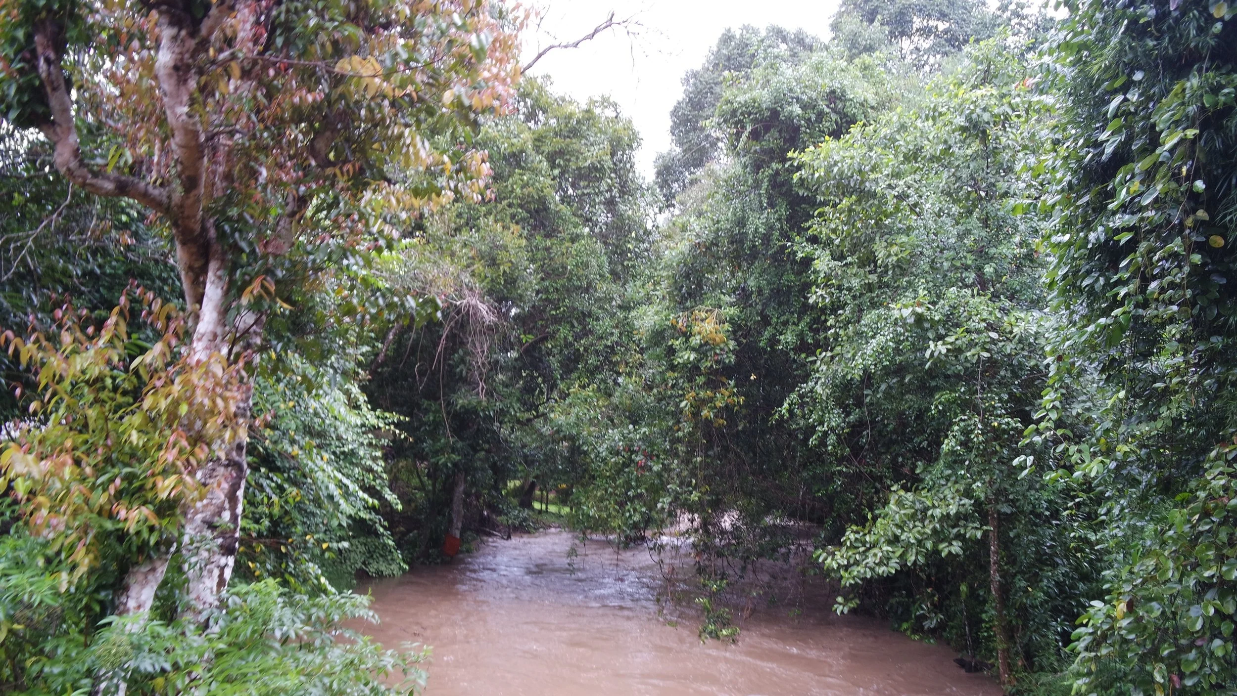 Māgha &amp; Sisra, 2