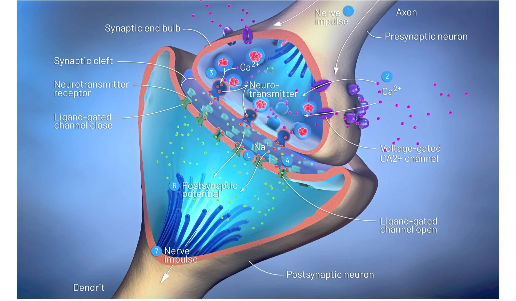 Untitled design-11.jpg