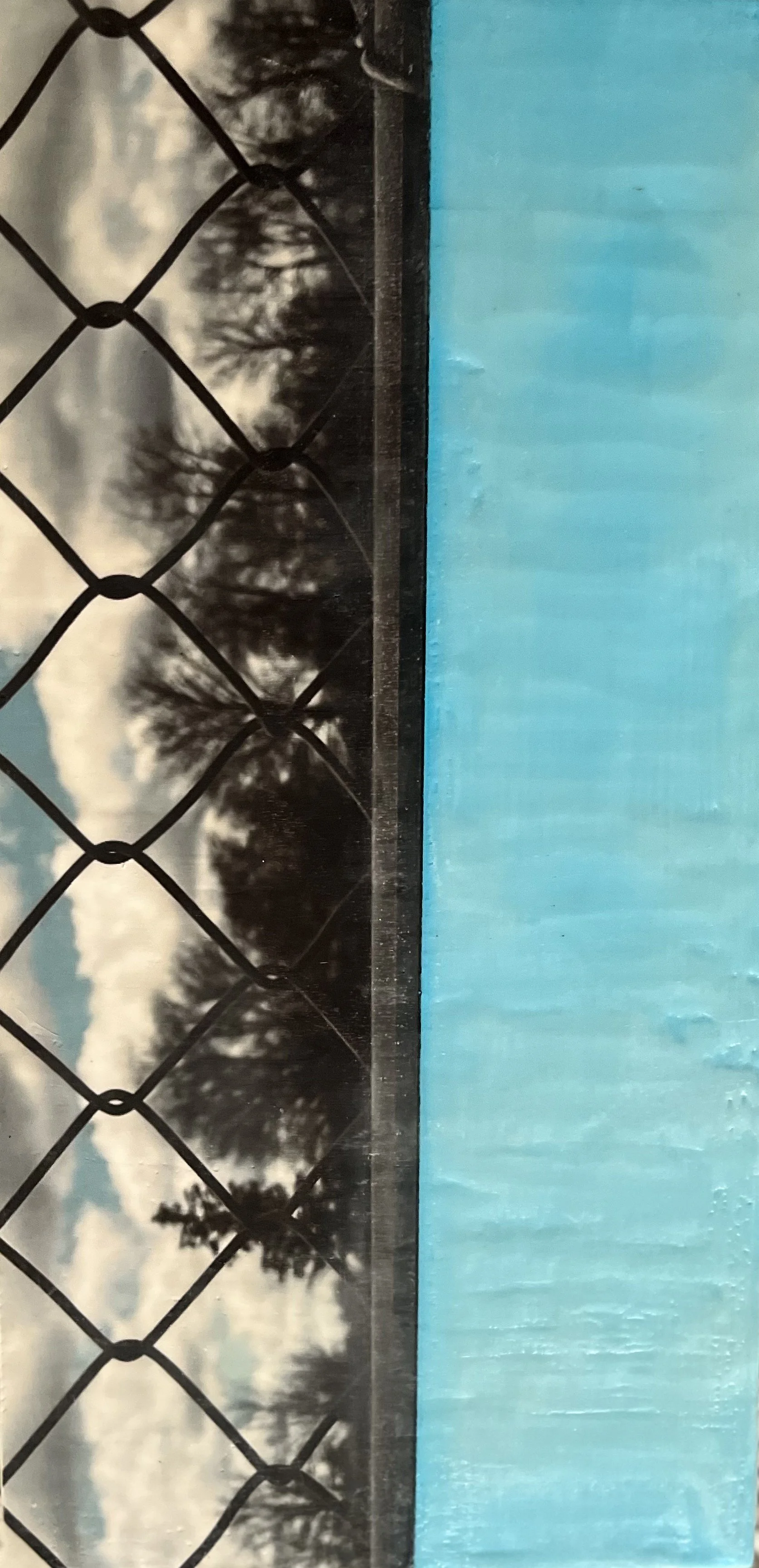 Fence in Blue